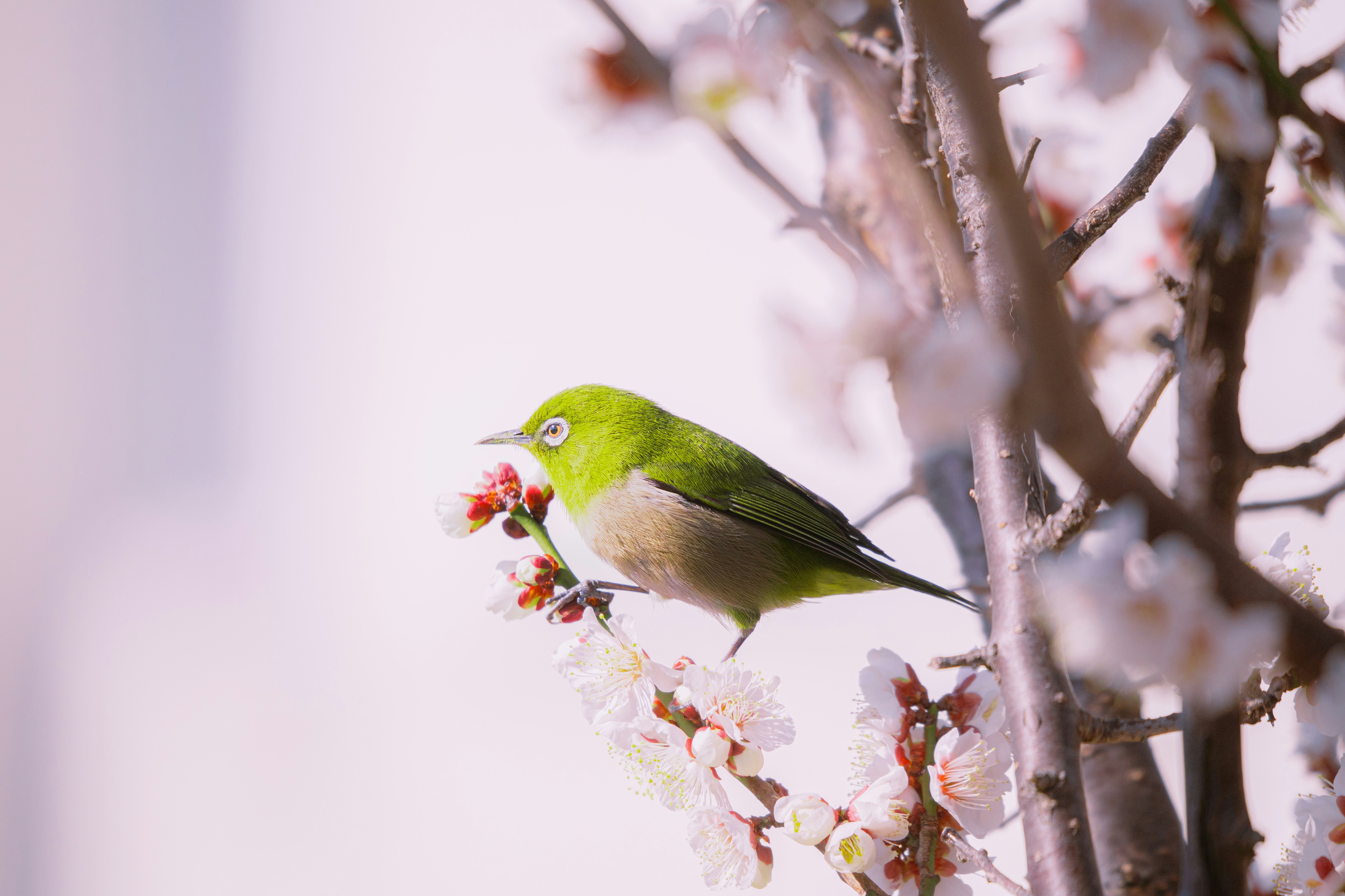 Photo by ryunosuke_kikuno