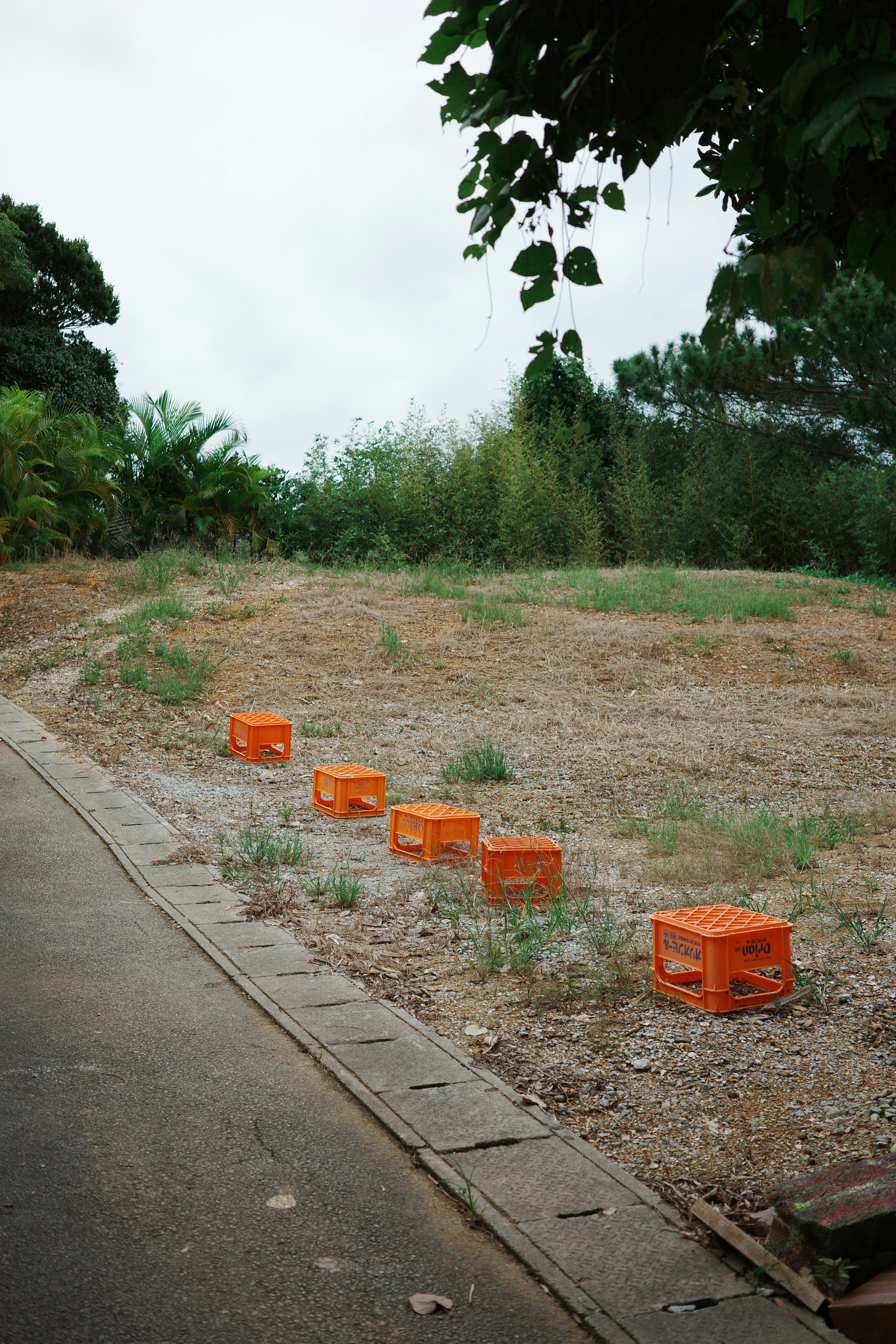 Five orange crates lined up on a grassy slope.