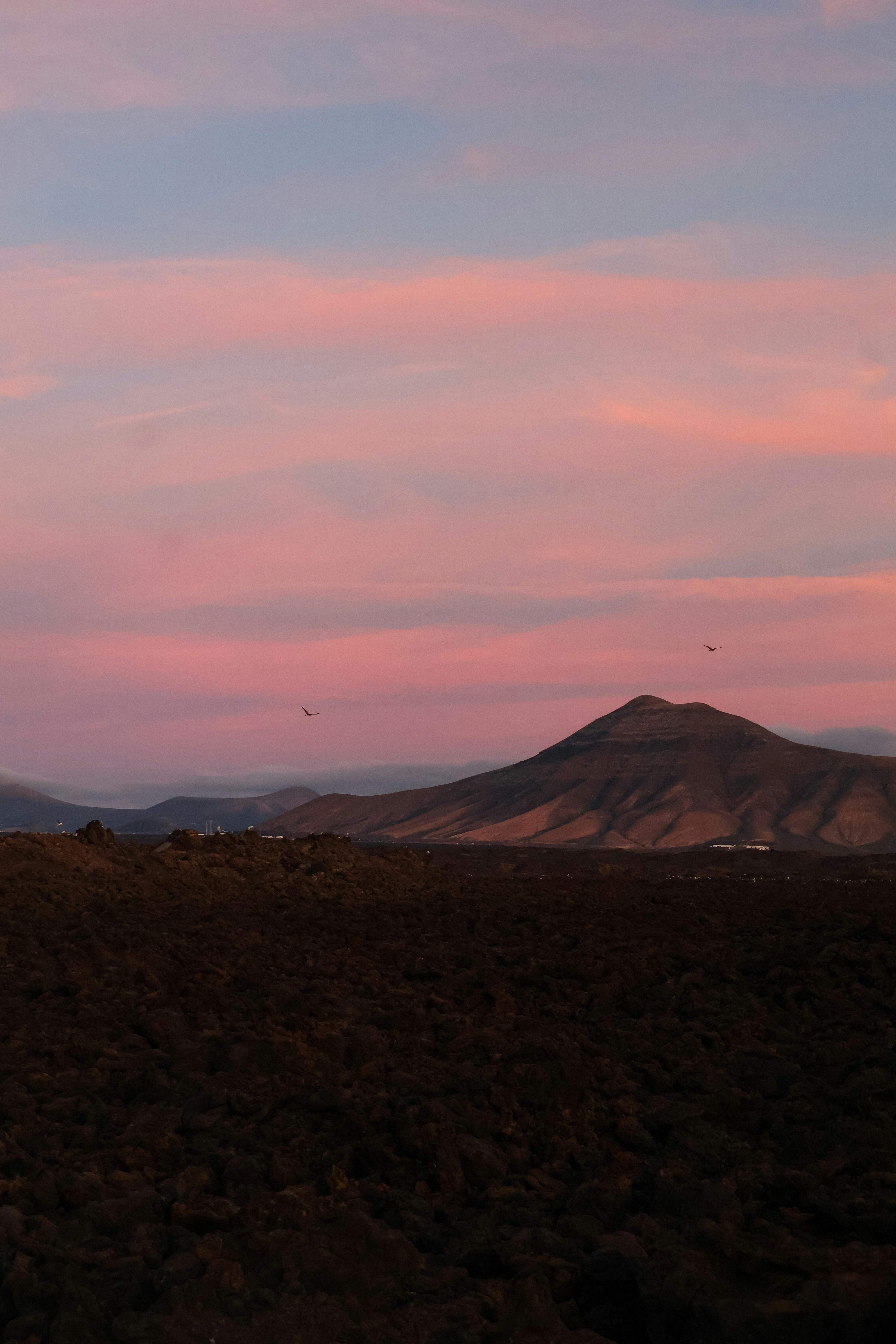 Photo by irinaestrella