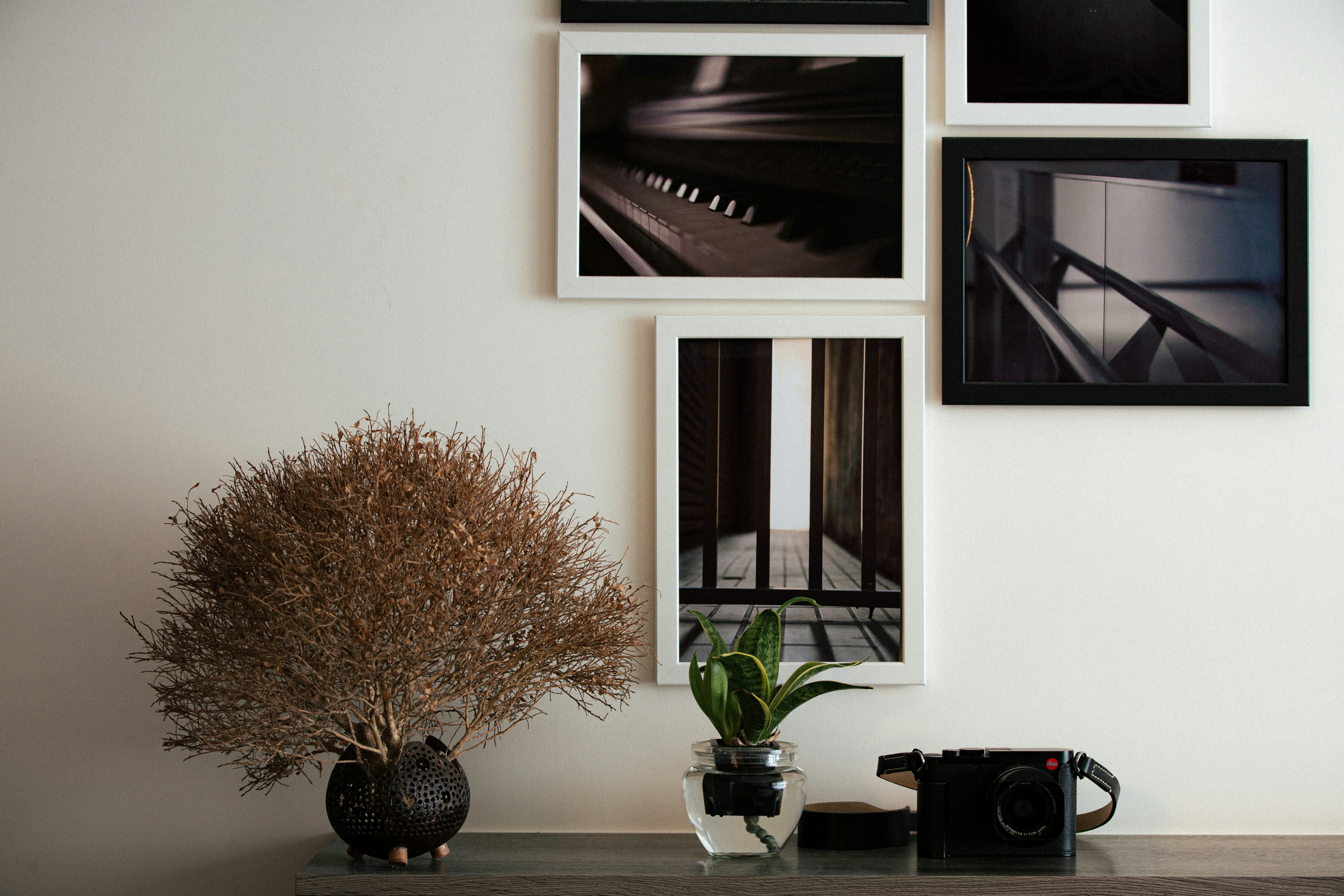 Framed art on wall with plants and camera.