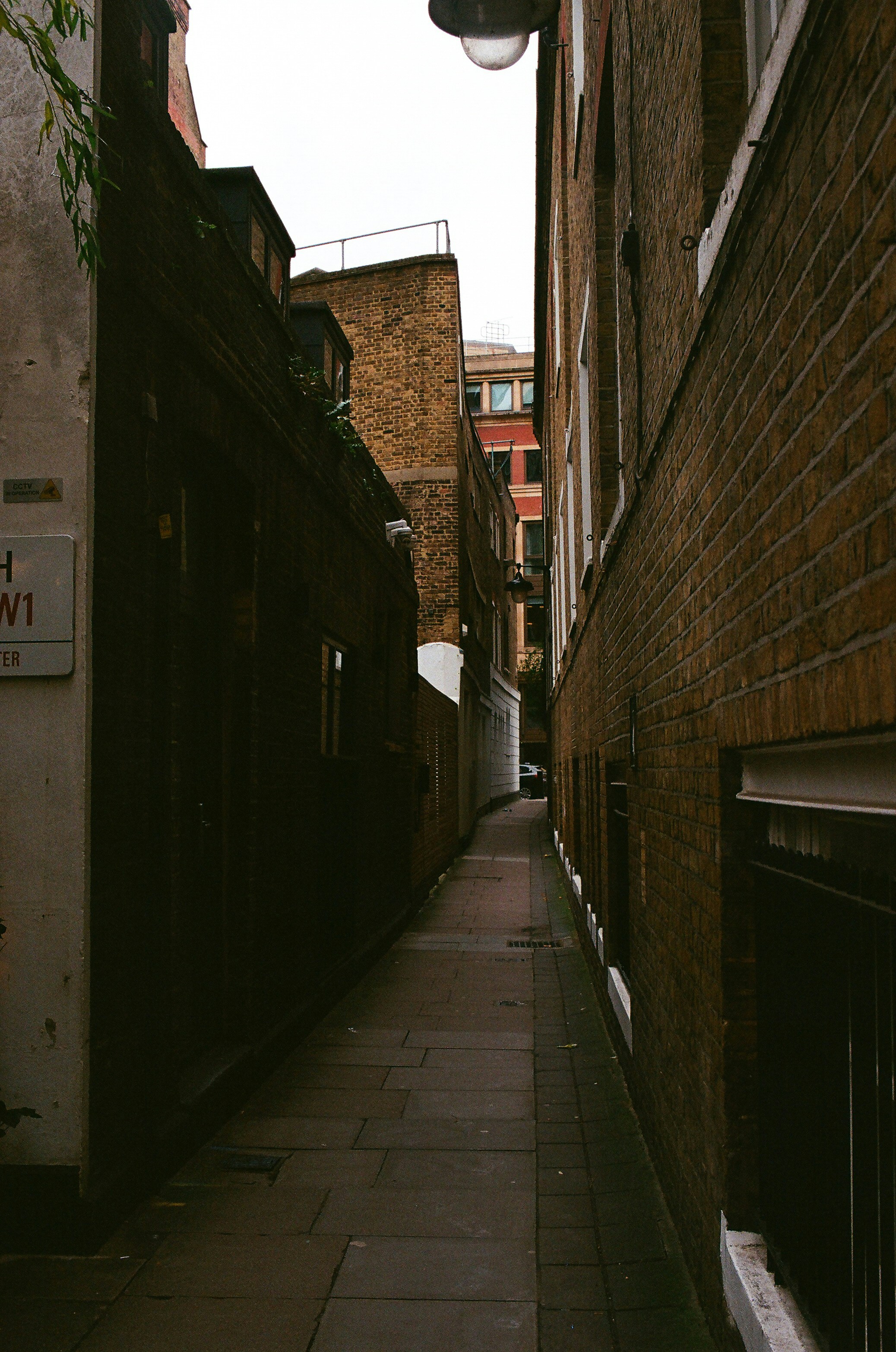 Photo by tanyabarrow