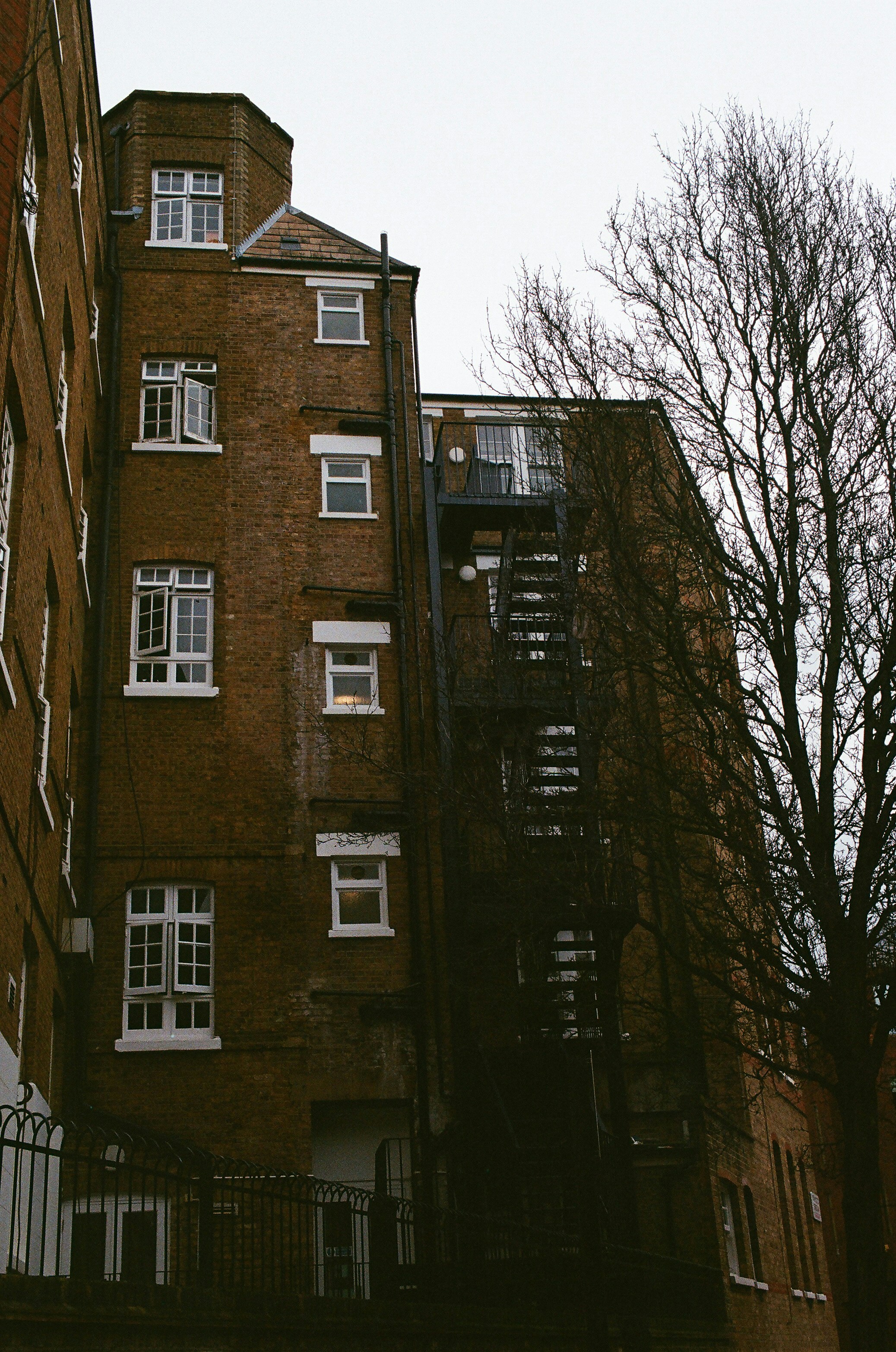 Photo by tanyabarrow