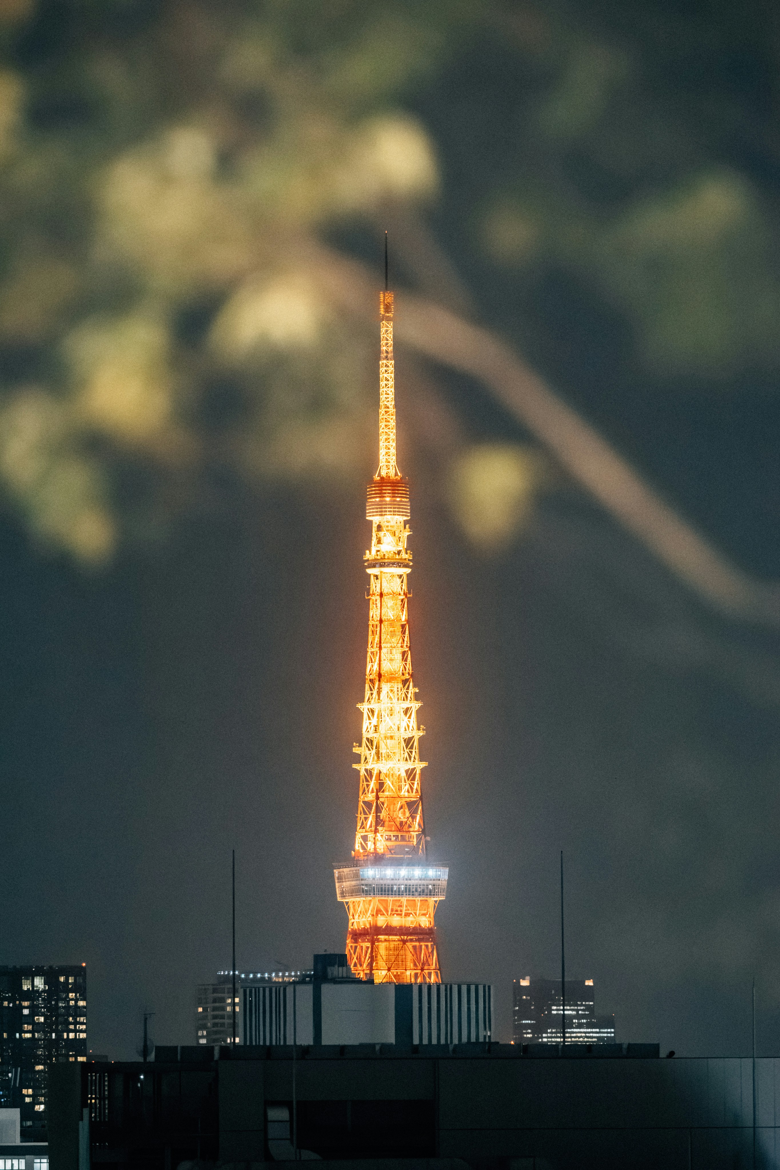 Tokyo tower illuminated at night with city skyline.