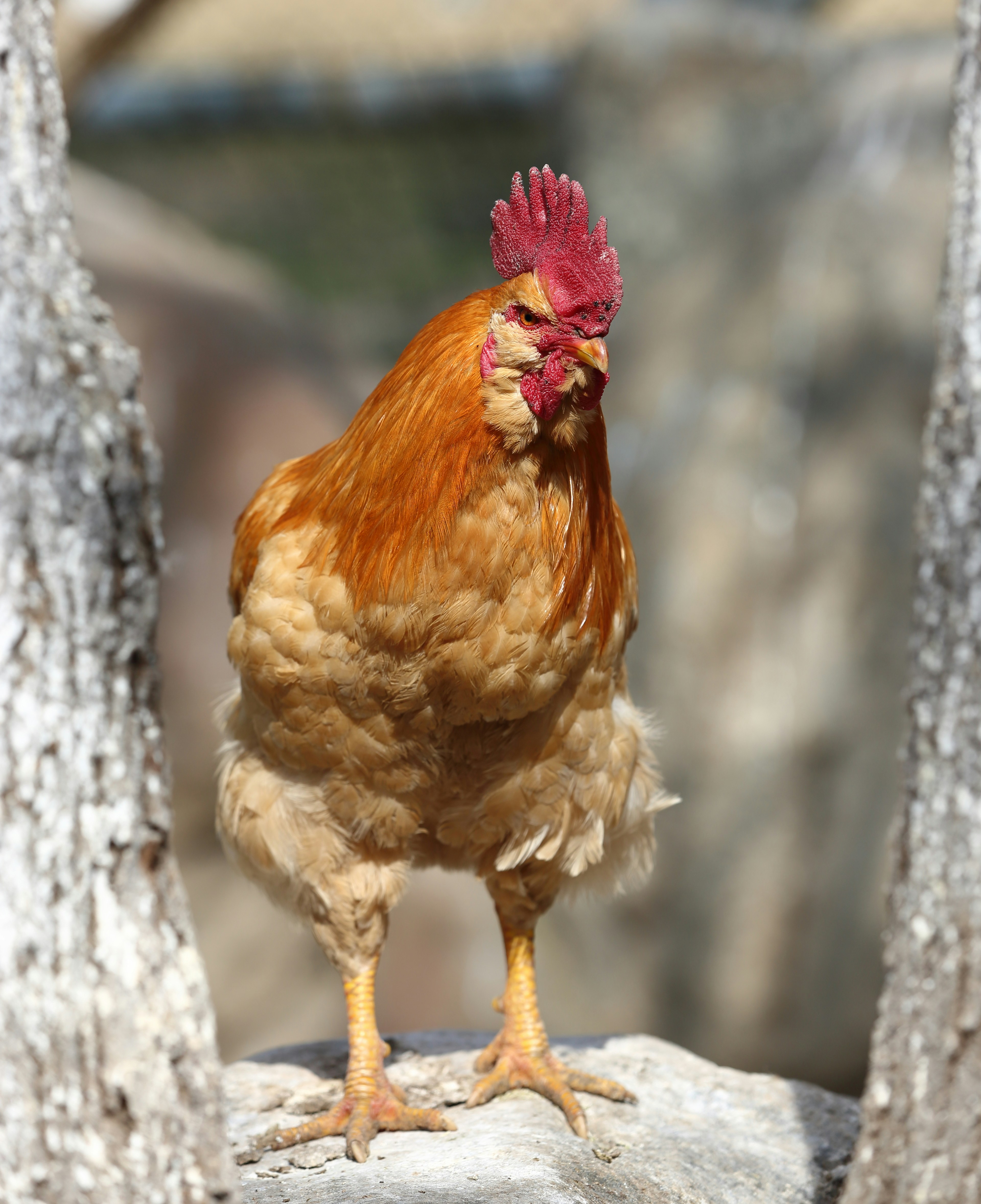 Photo by j4son_bourn3