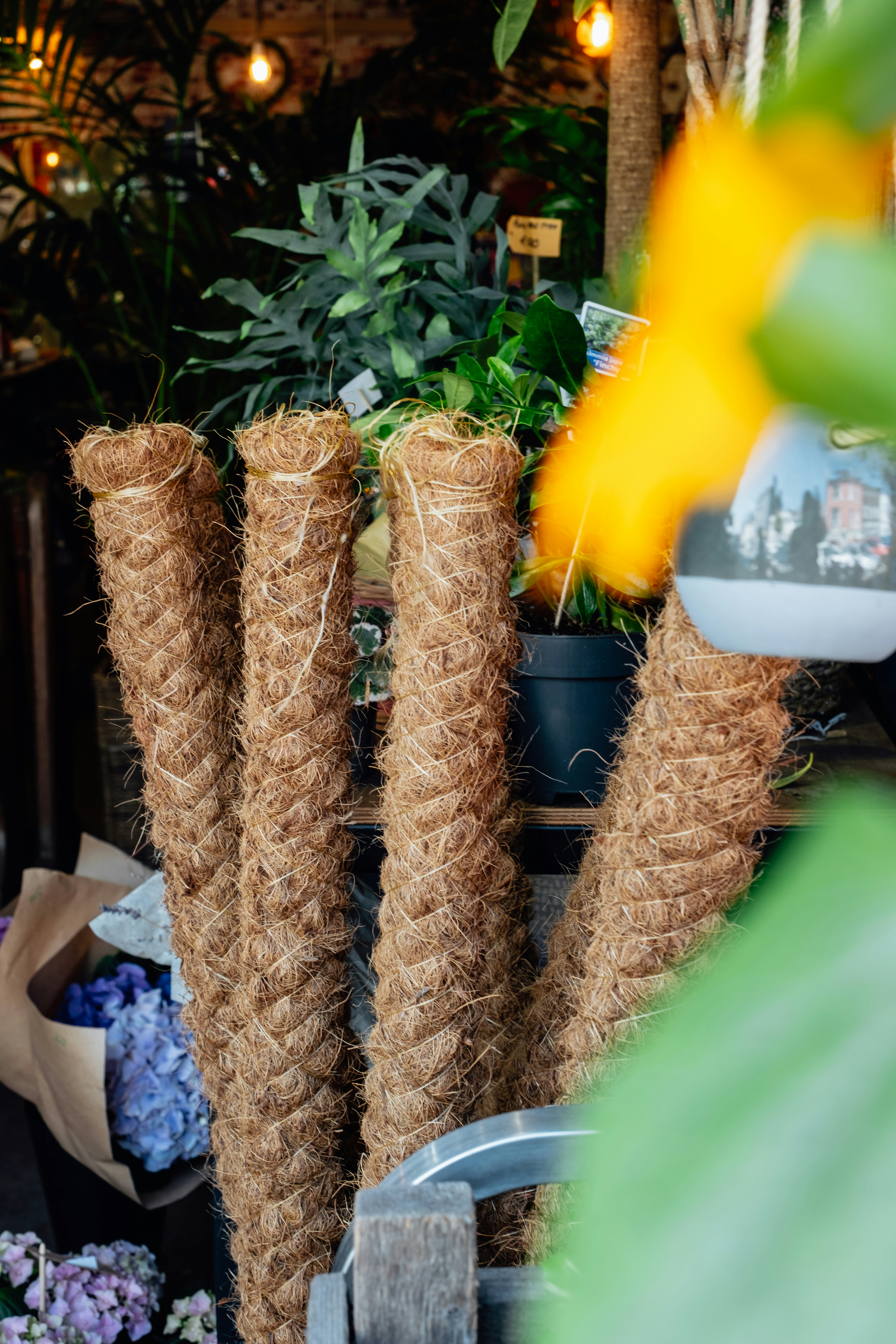 Four coir totem poles stand among plants.