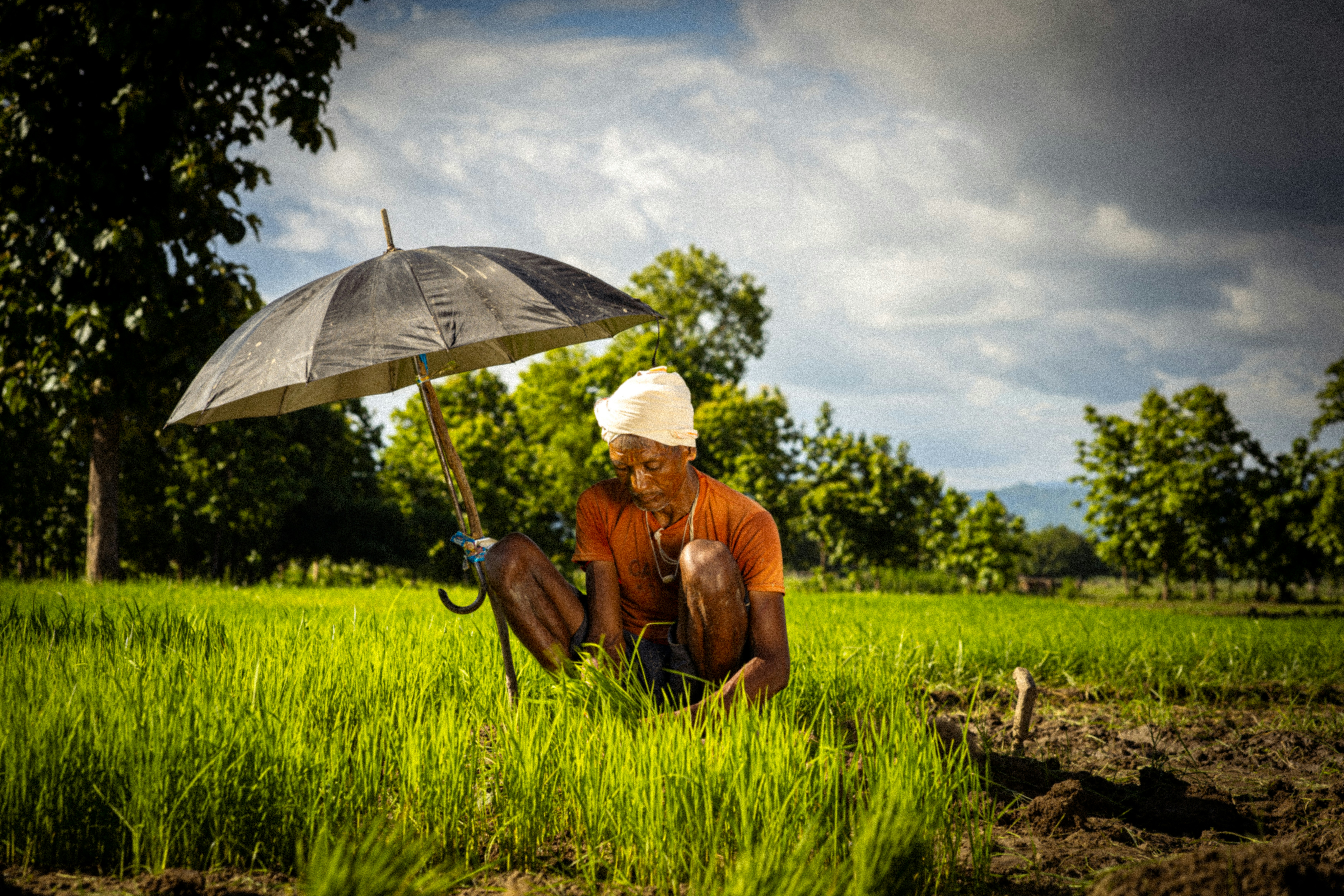 Buried Value: How American Farmers Are Turning Soil Carbon Into a New Revenue Stream