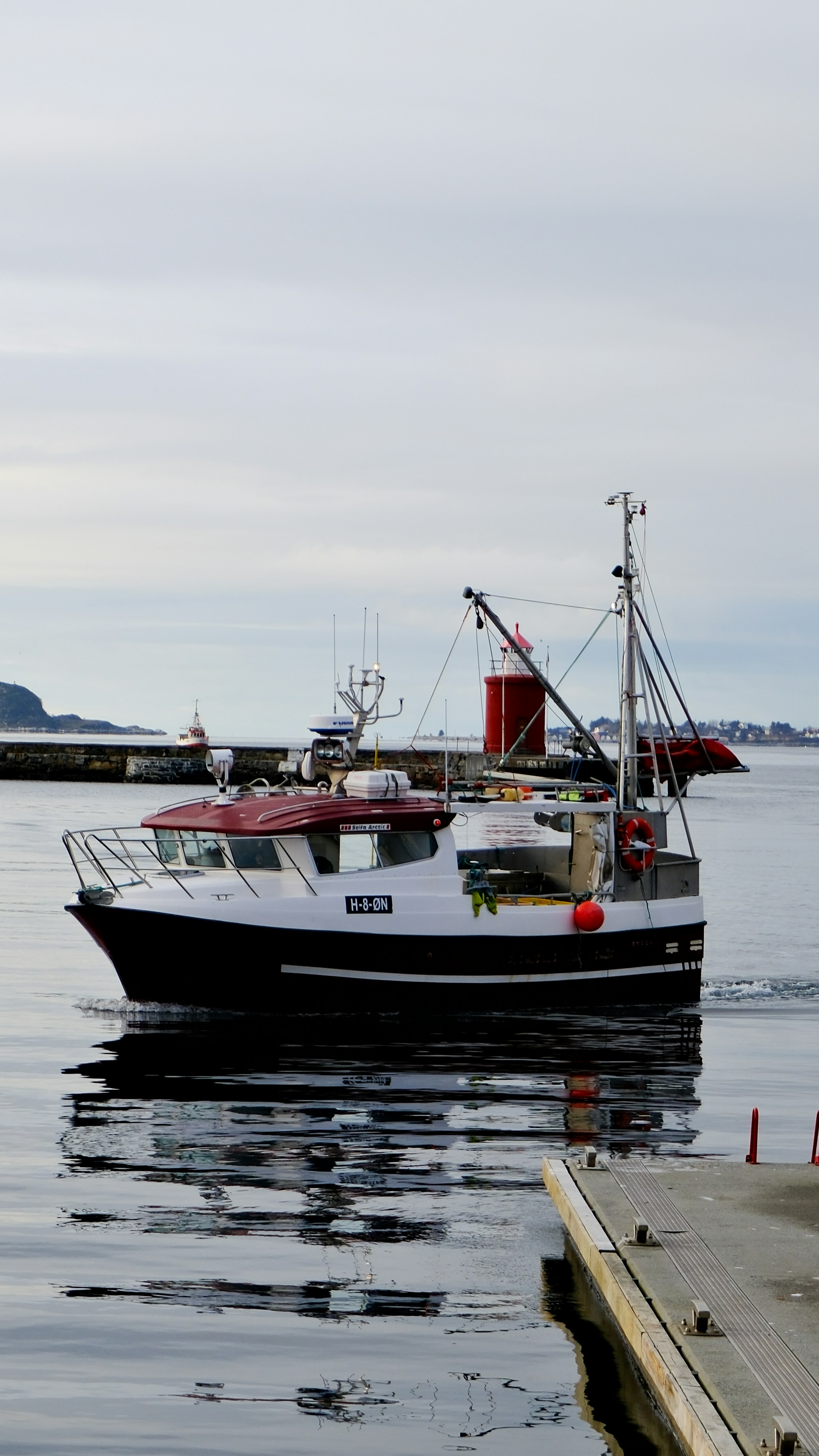 Photo by _imdanielwilson