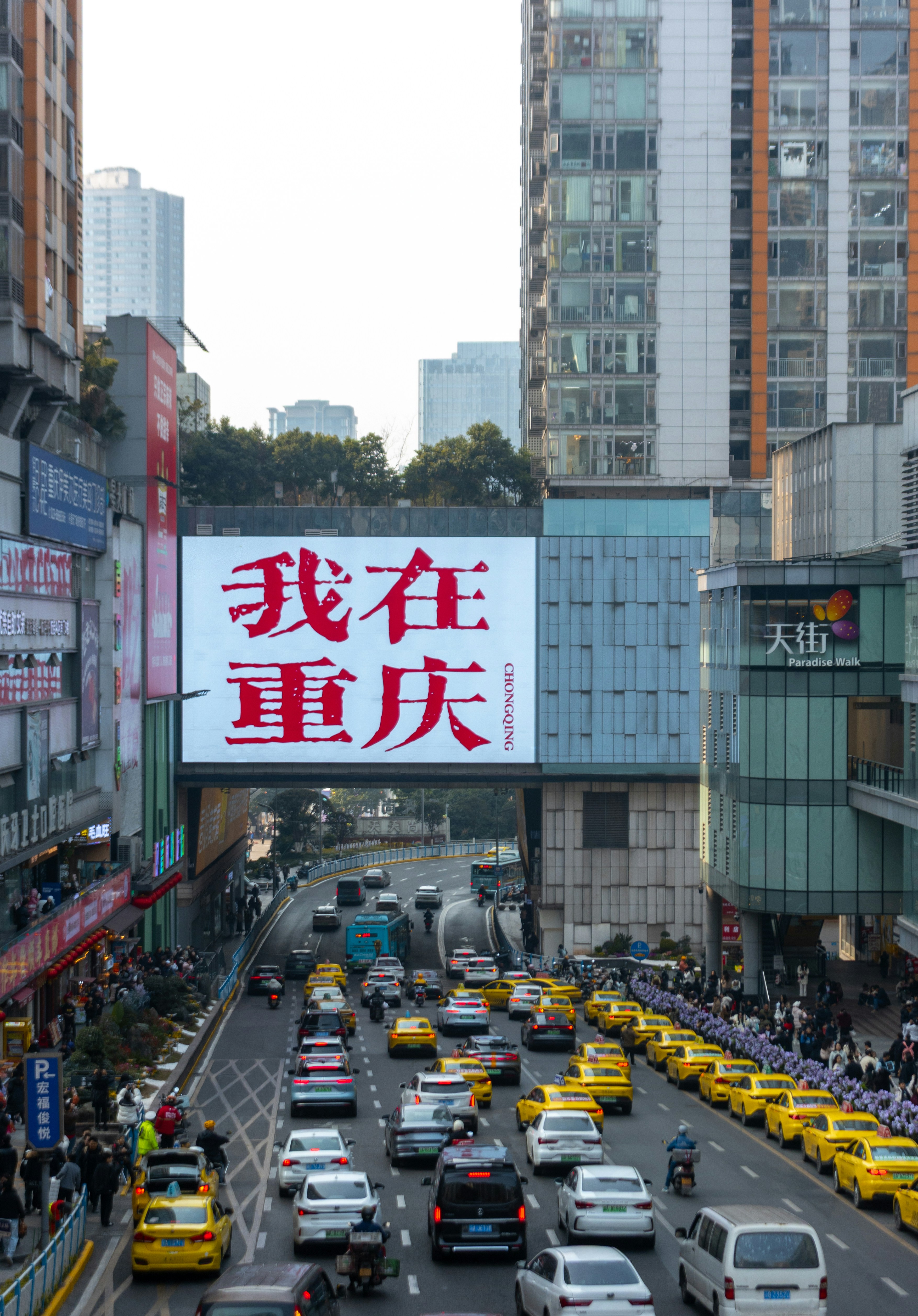 Photo by wu_hua_jiang