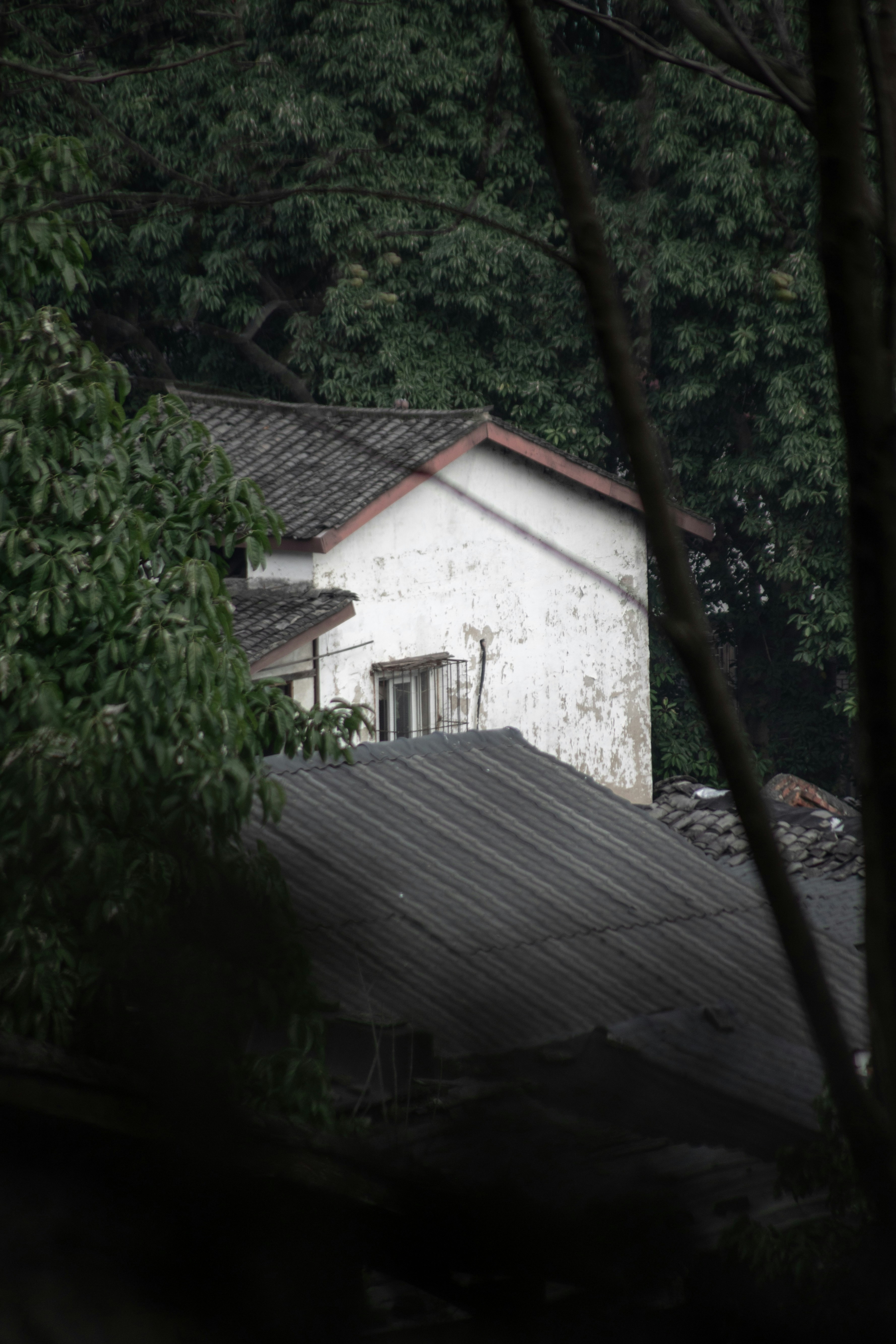 Photo by wu_hua_jiang