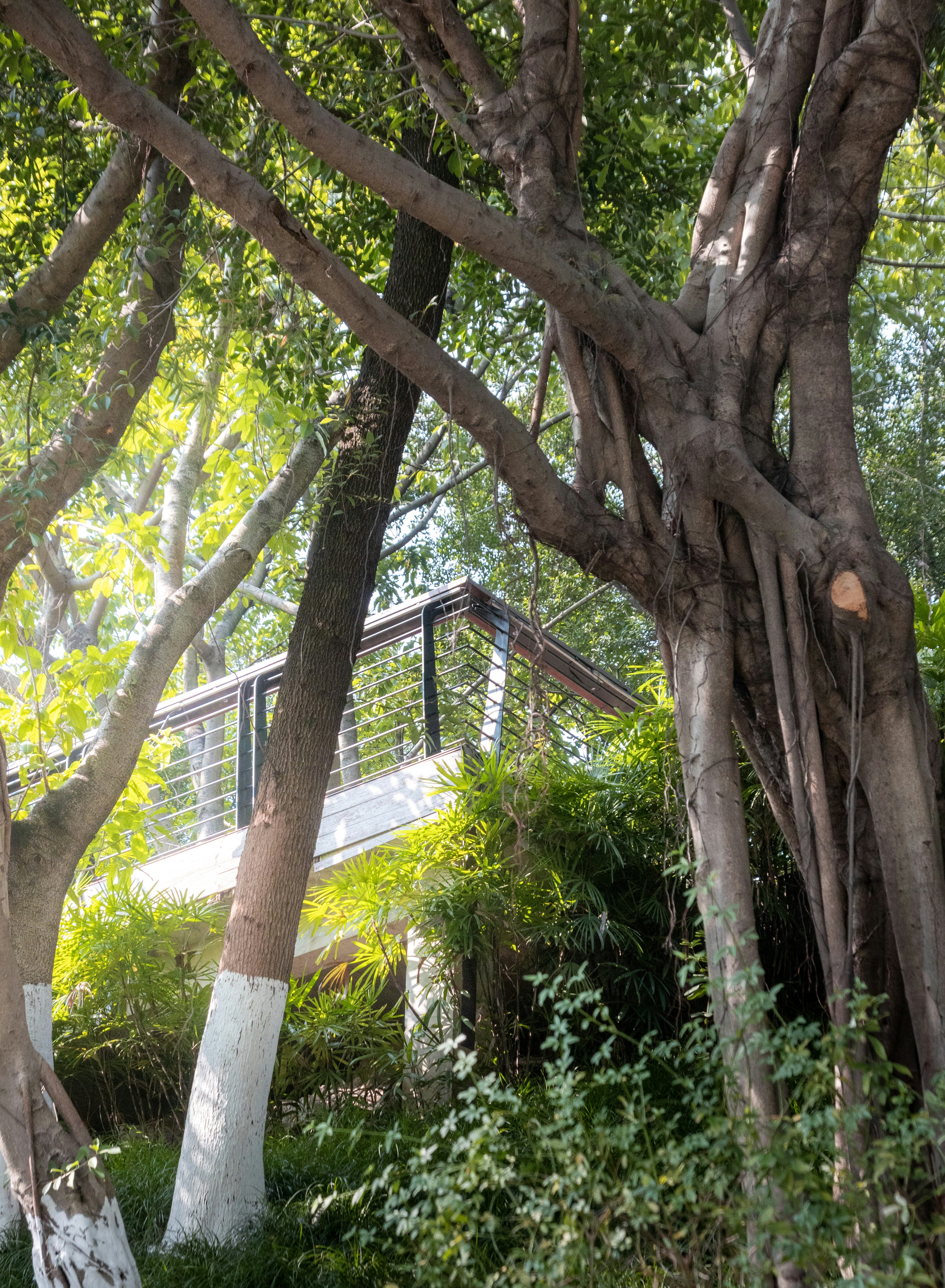 Photo by wu_hua_jiang