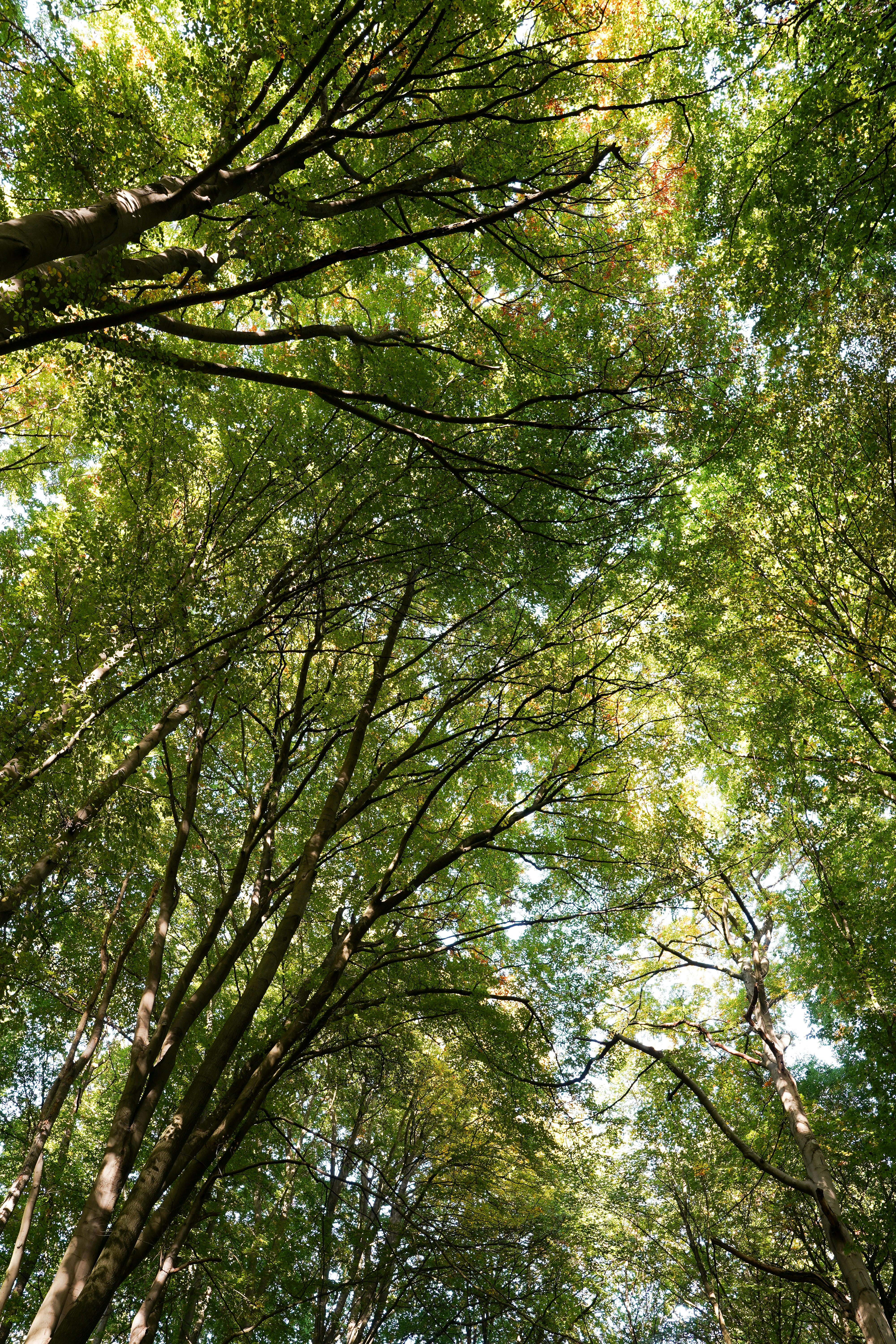 Photo by hamburgmeinefreundin