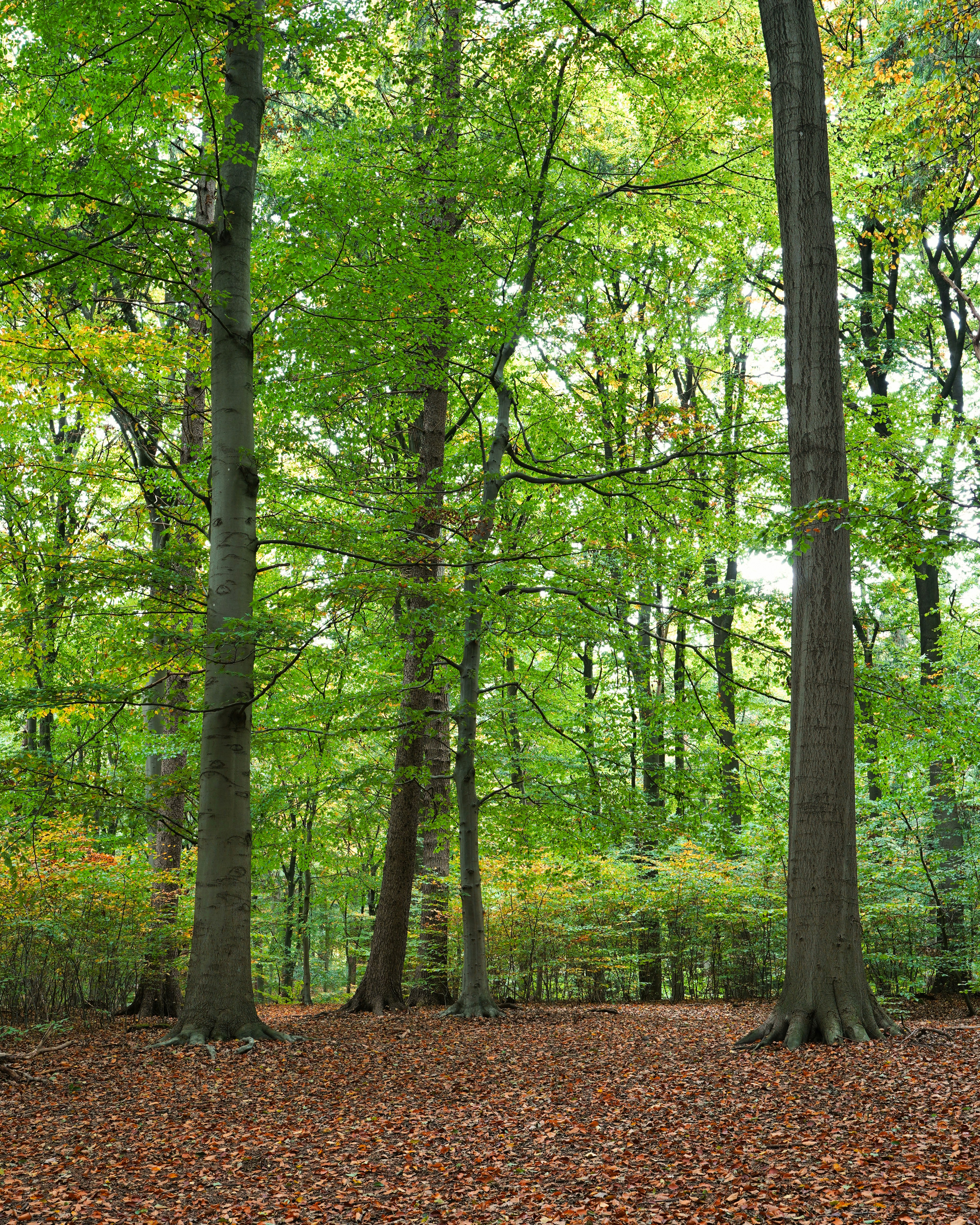 Photo by hamburgmeinefreundin