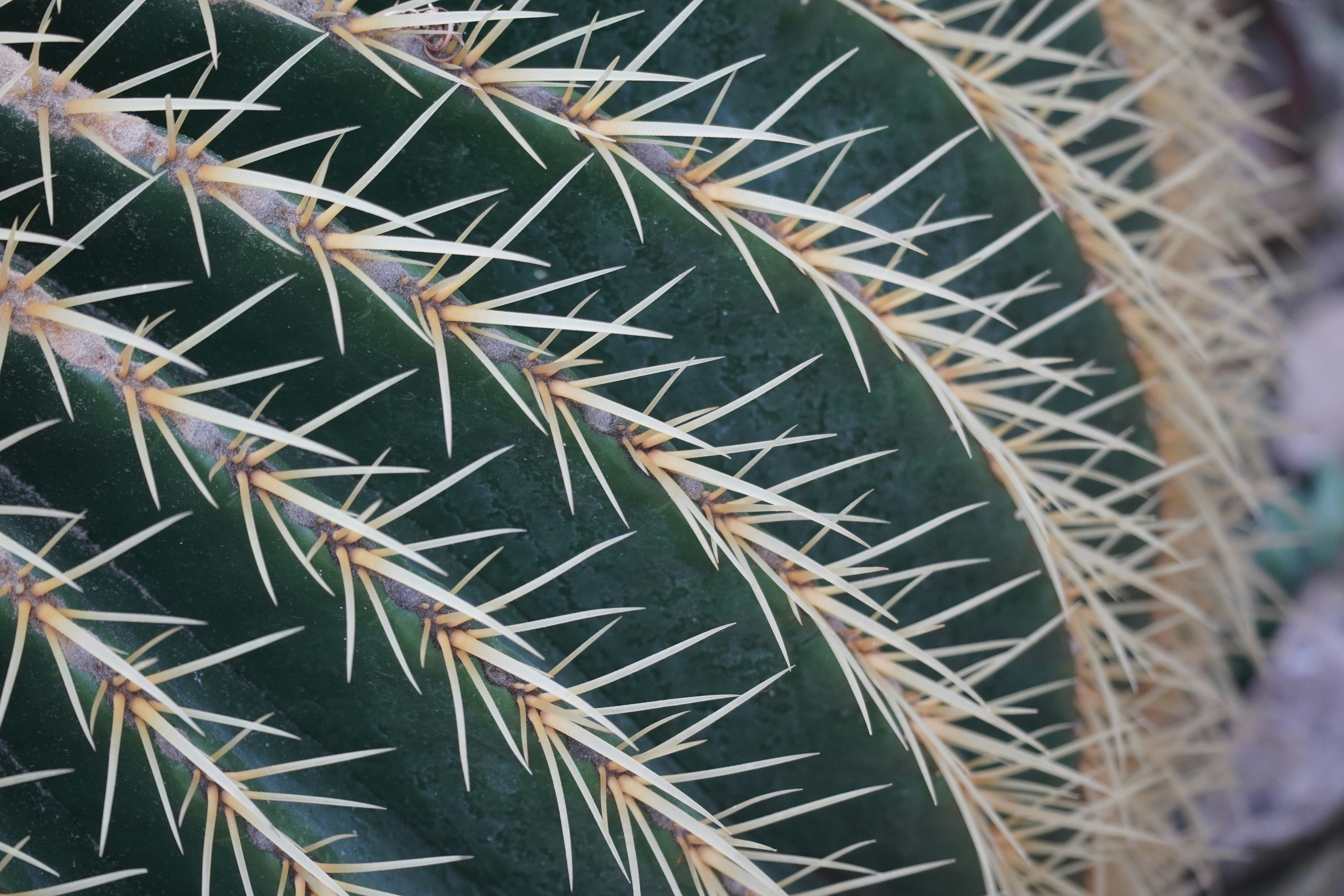 Photo by geistiger_m