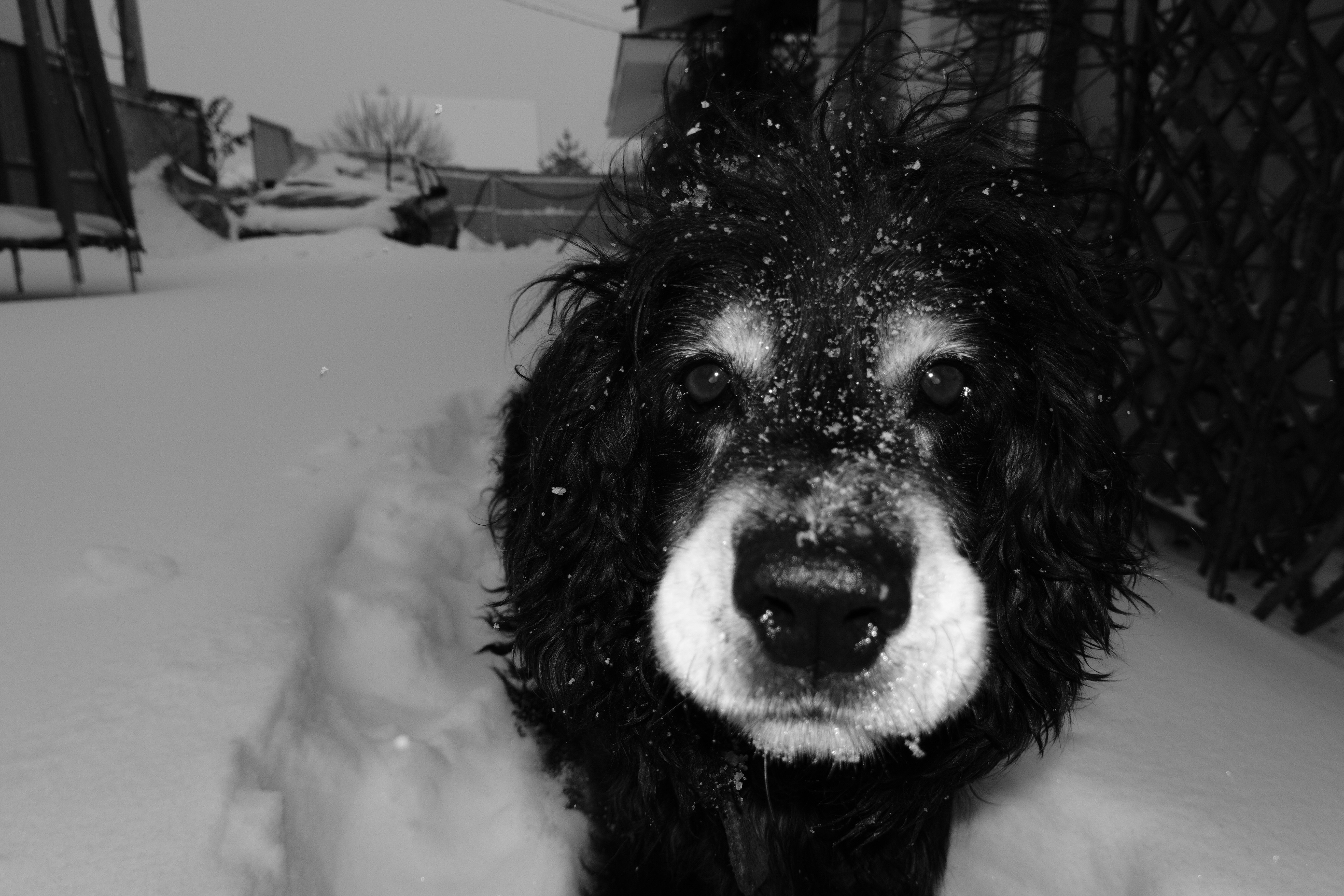 Photo by stepanseverinoff