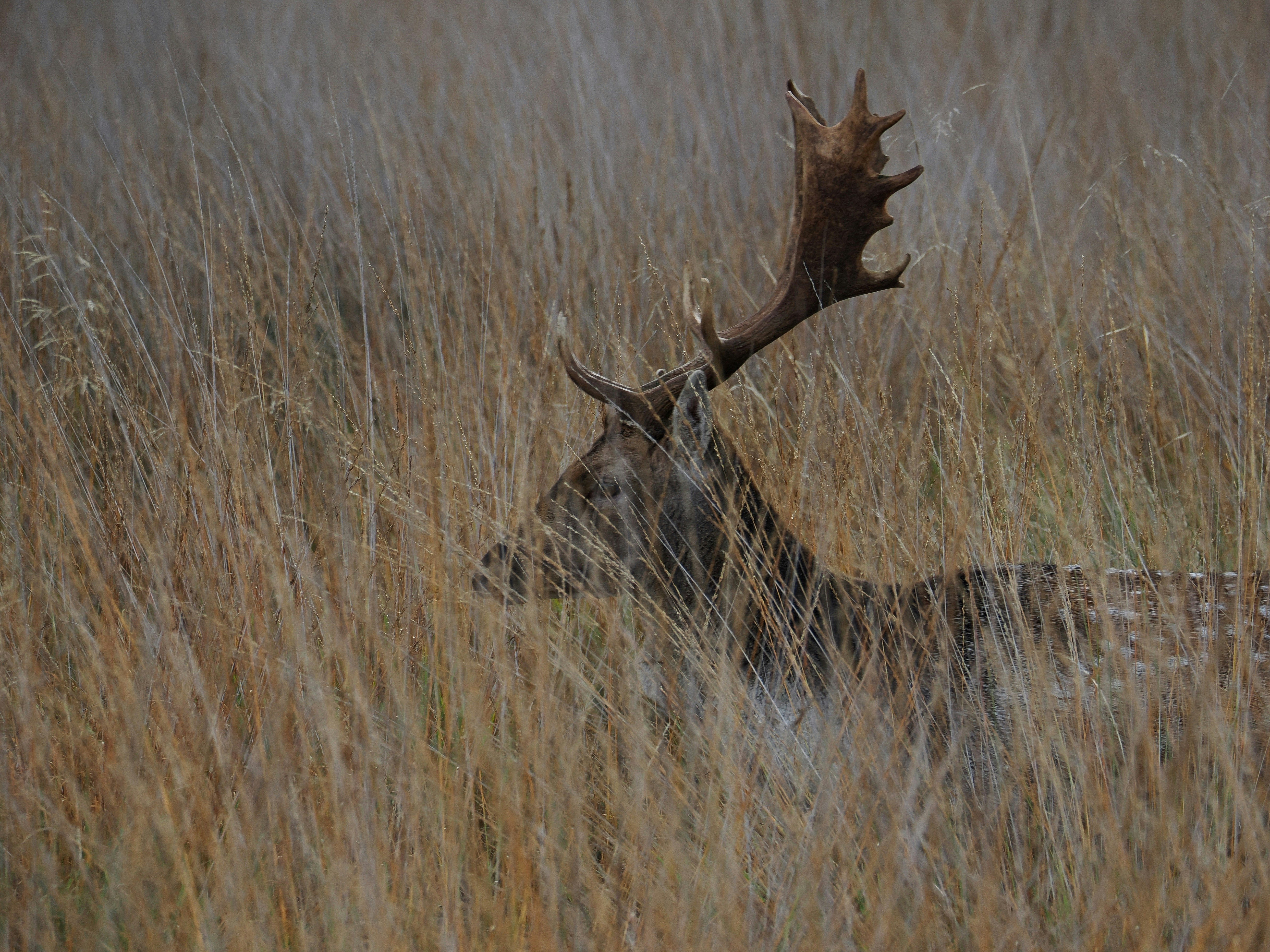 Photo by balmy_sunset