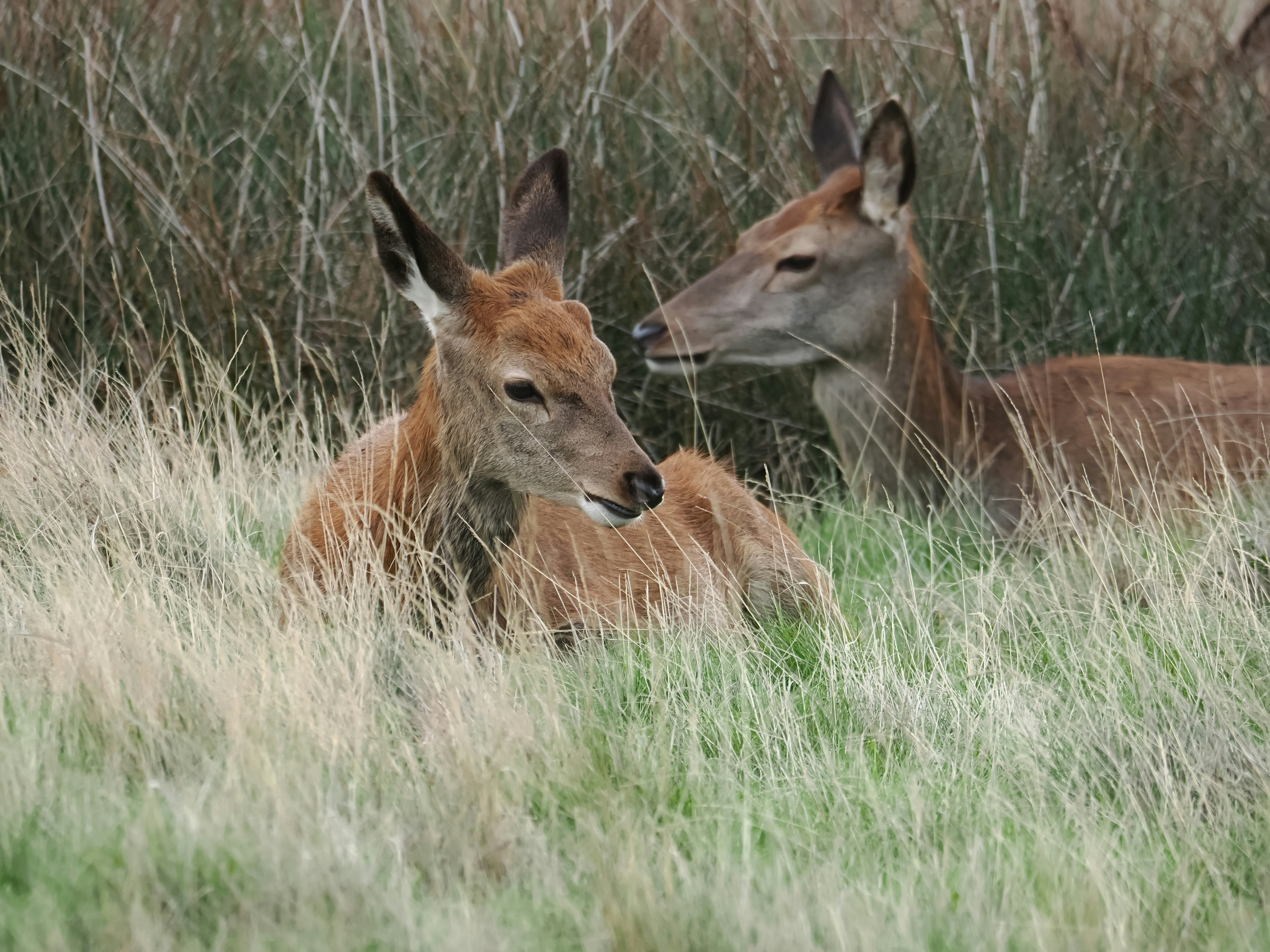 Photo by balmy_sunset