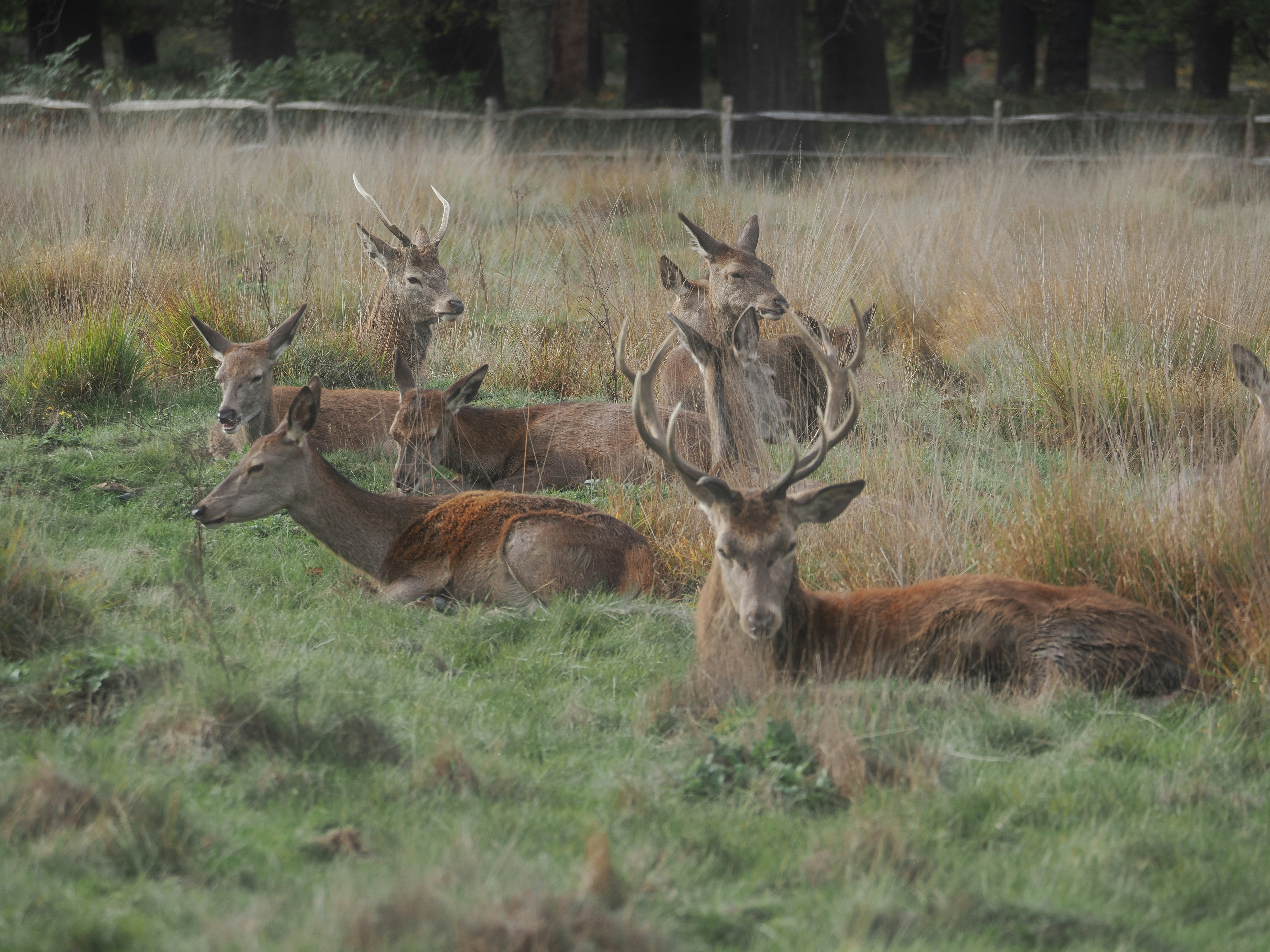 Photo by balmy_sunset