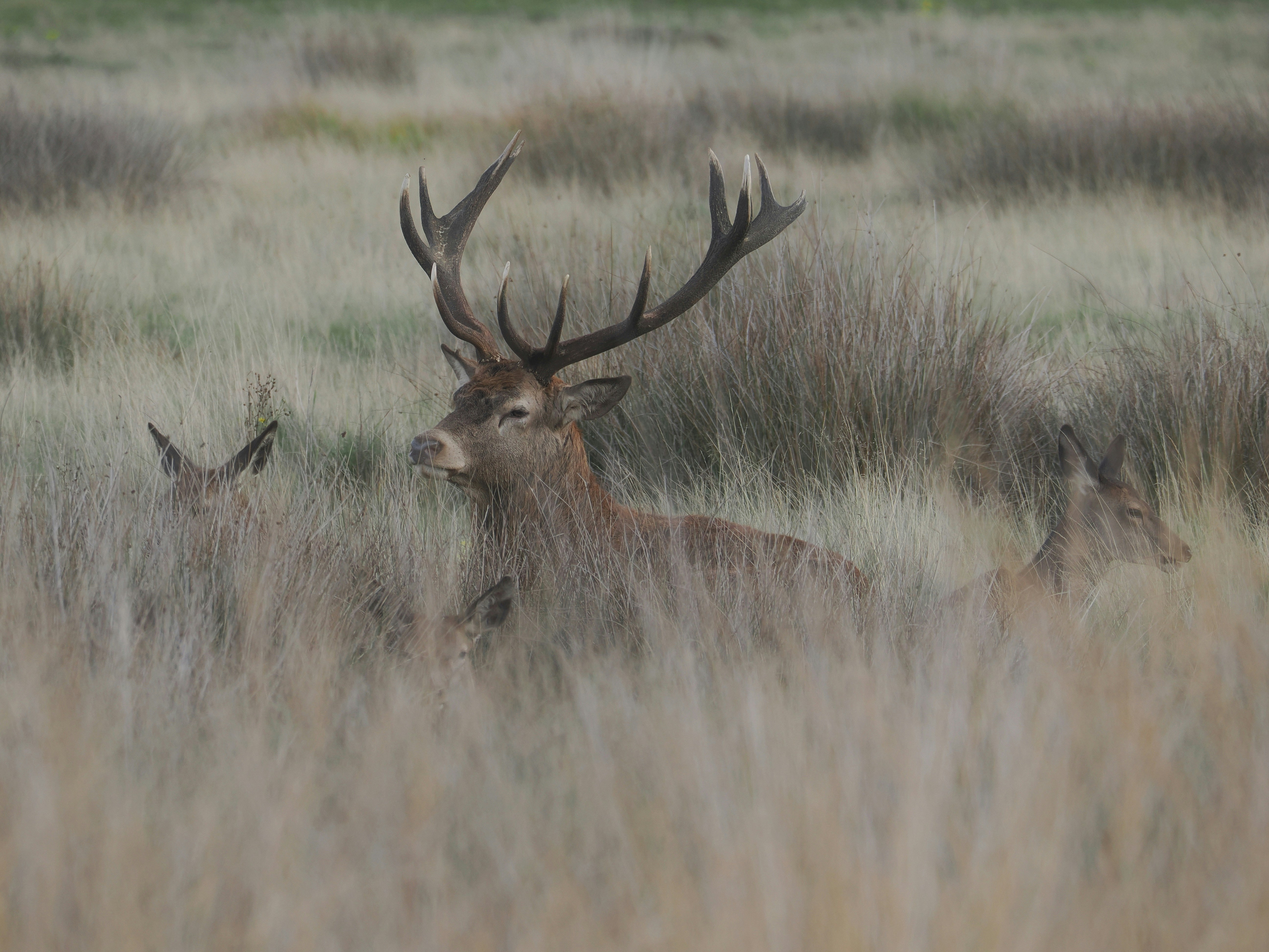 Photo by balmy_sunset