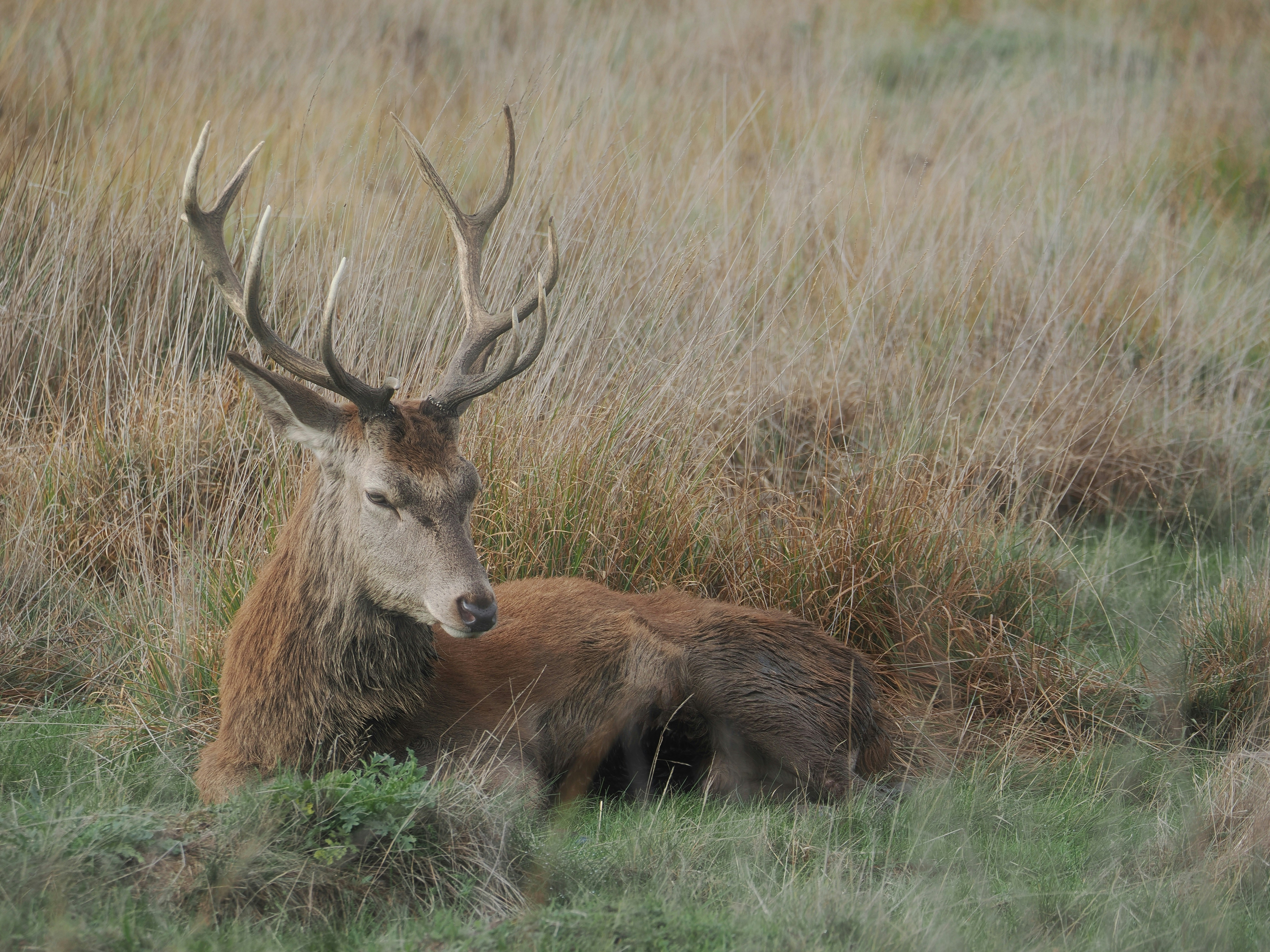 Photo by balmy_sunset