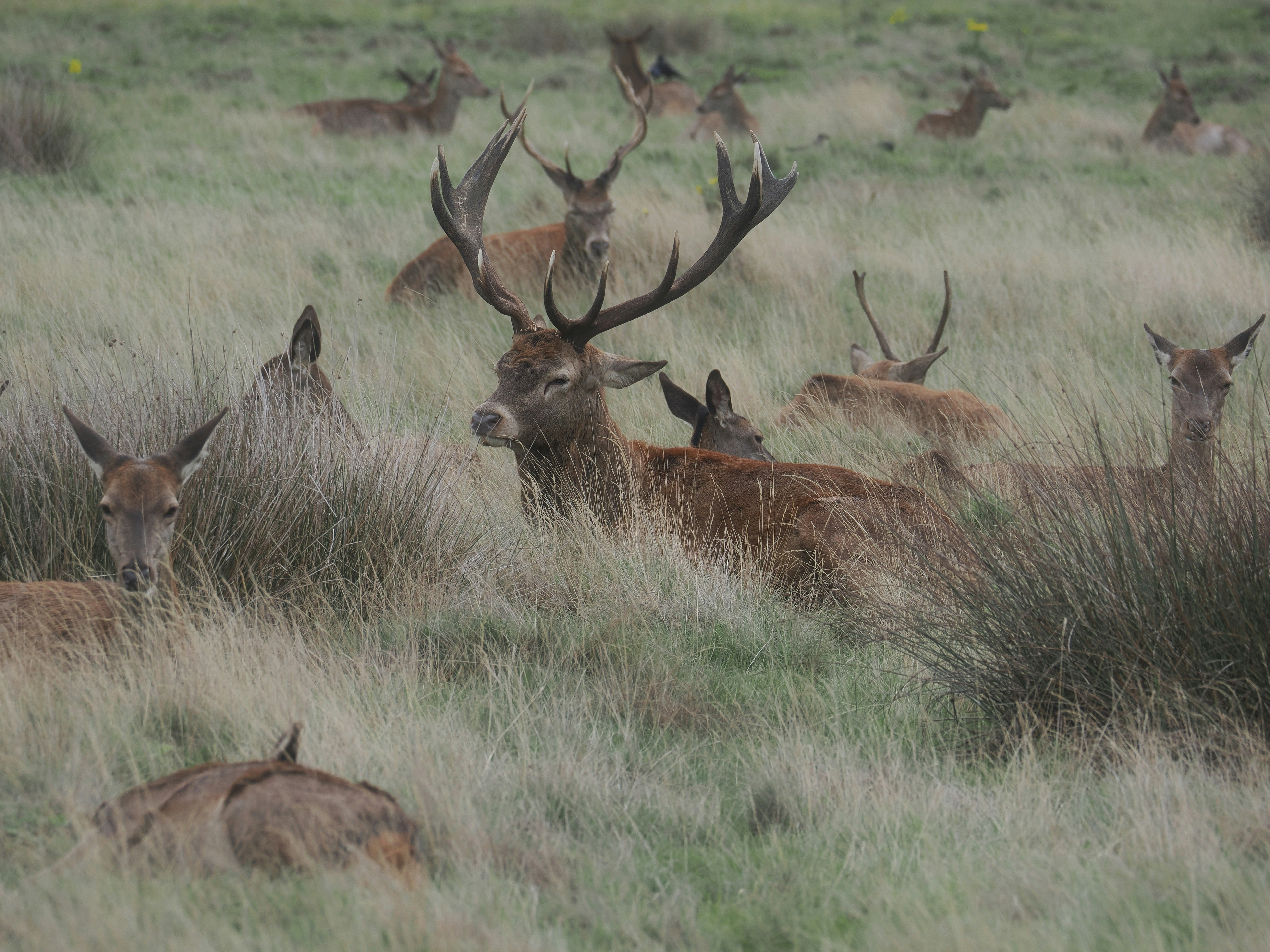 Photo by balmy_sunset