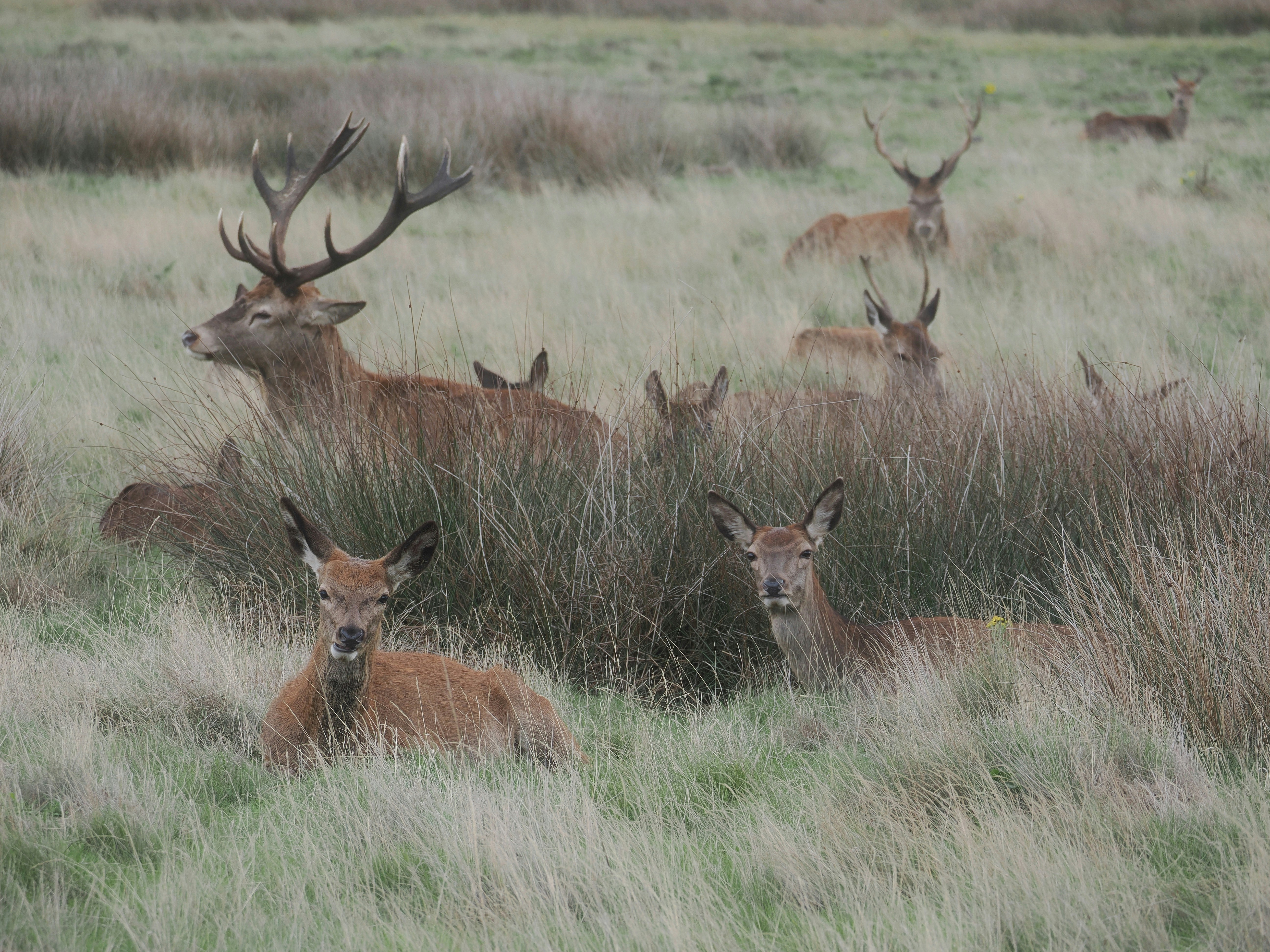 Photo by balmy_sunset