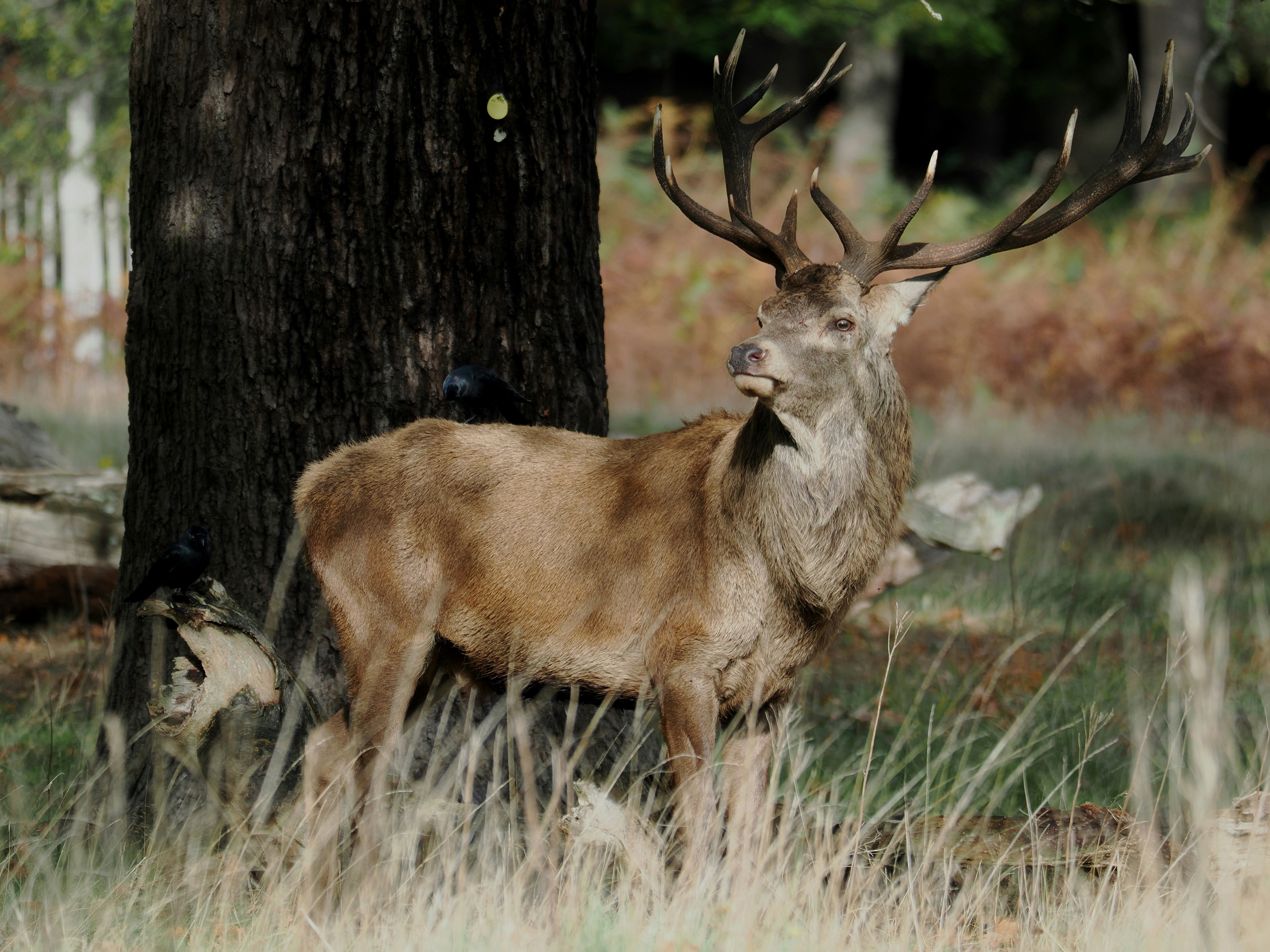 Photo by balmy_sunset