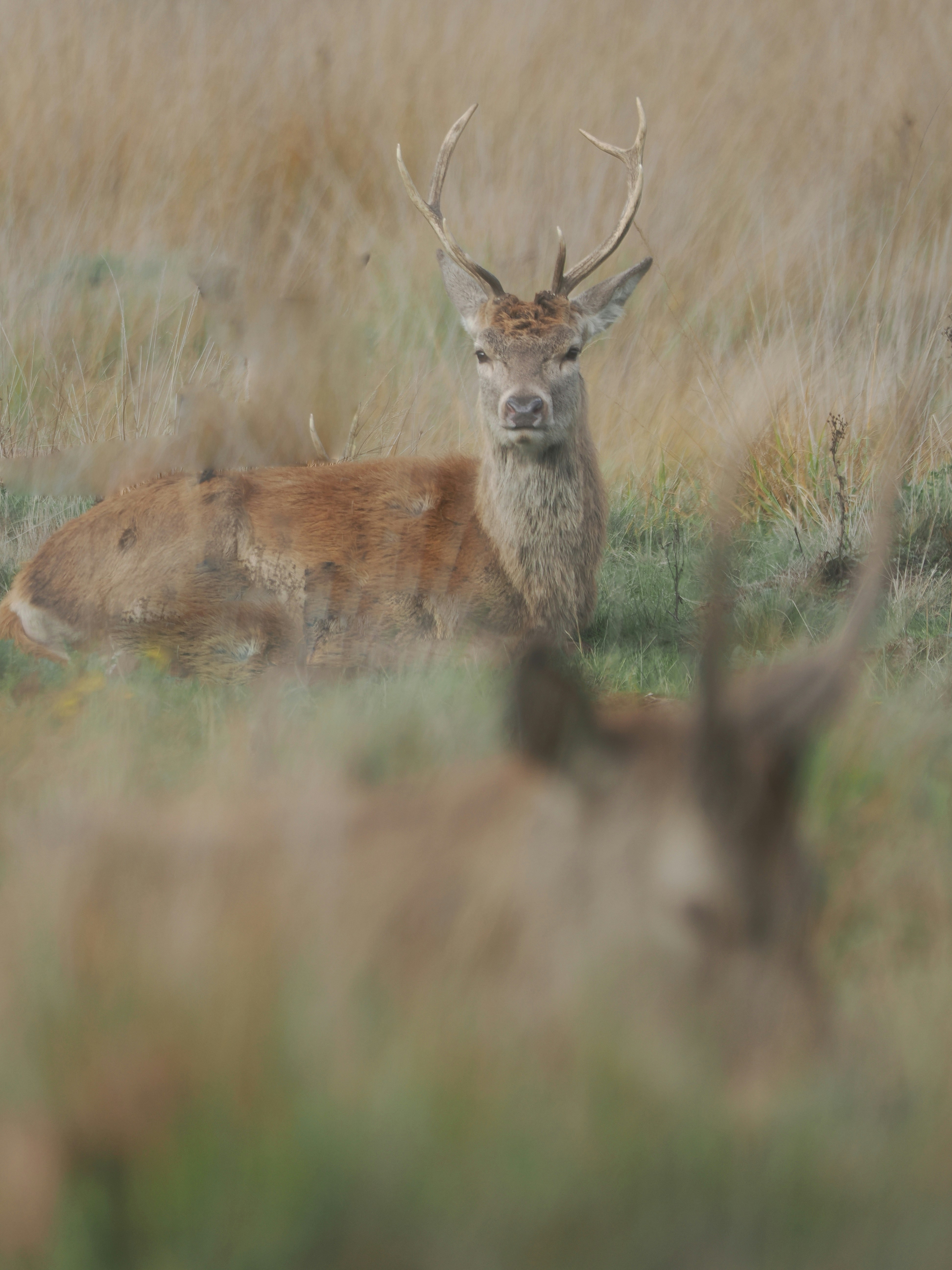 Photo by balmy_sunset