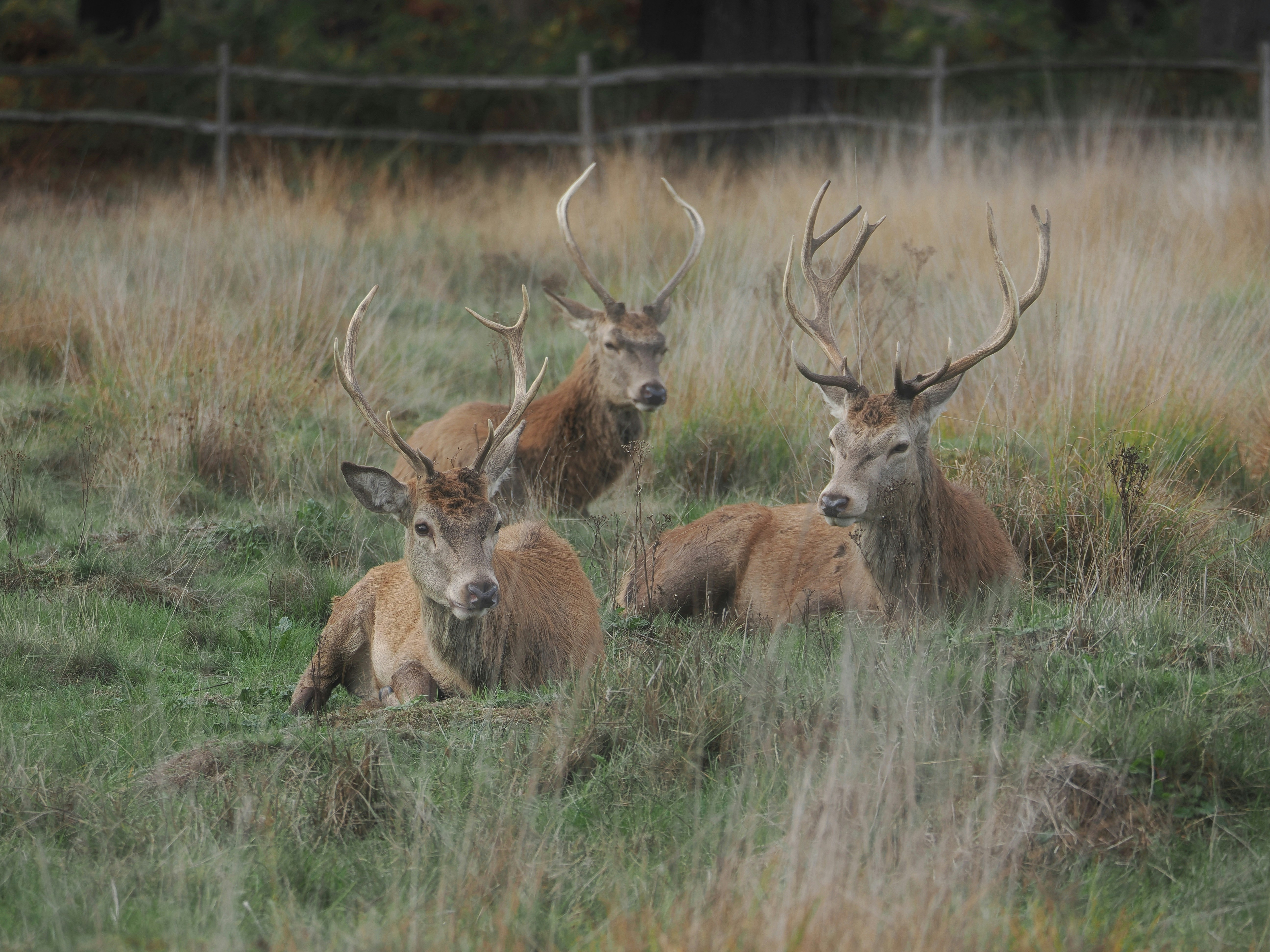 Photo by balmy_sunset