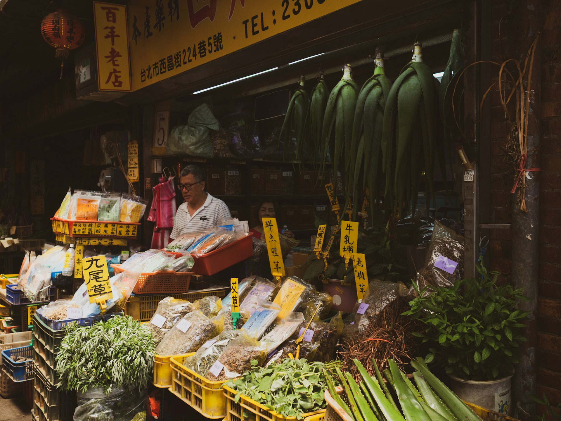 台北中藥材老店實景，男性店主站在擺滿各式乾燥藥材的攤位前，掛有中文招牌