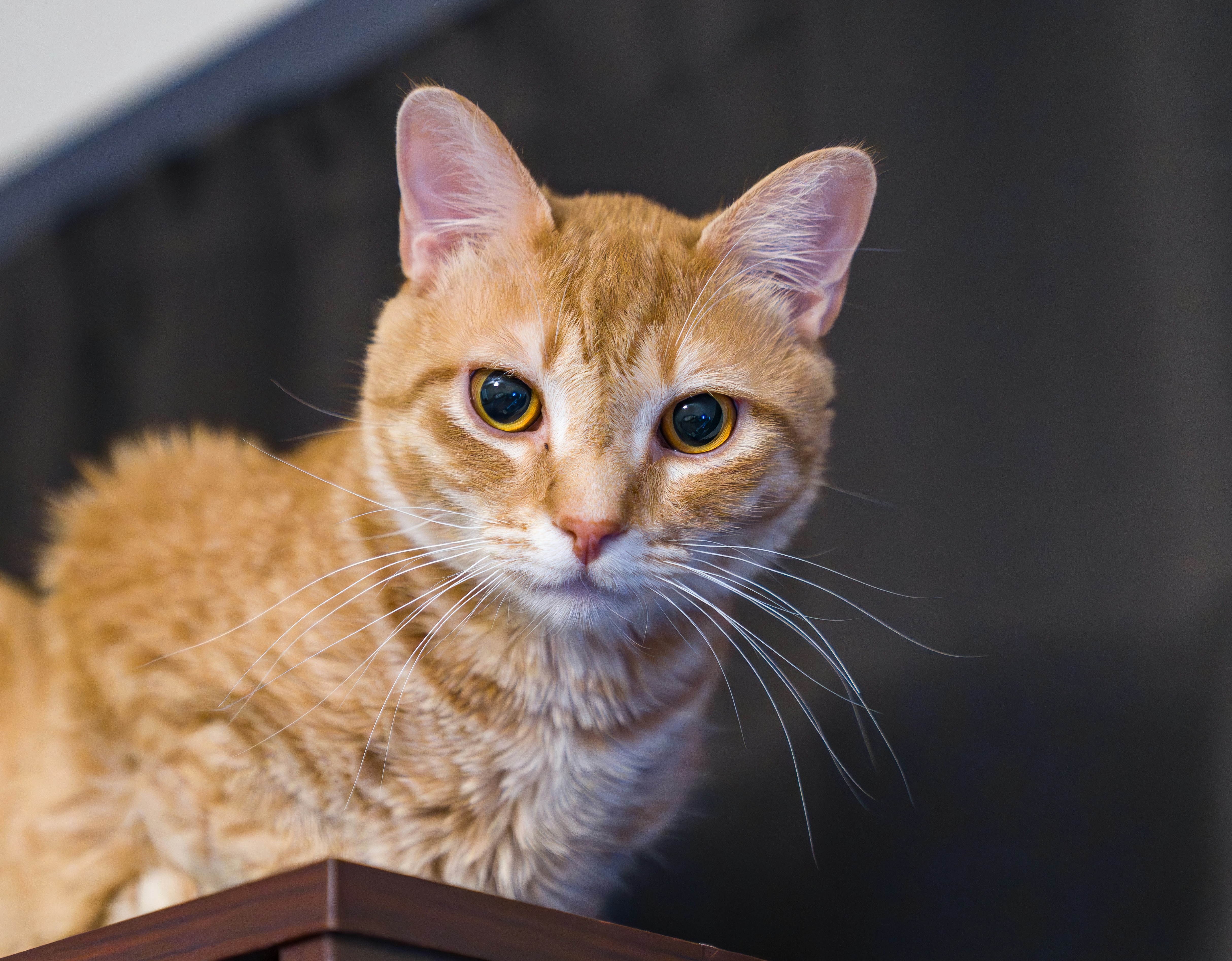 Photo by bokehblasts