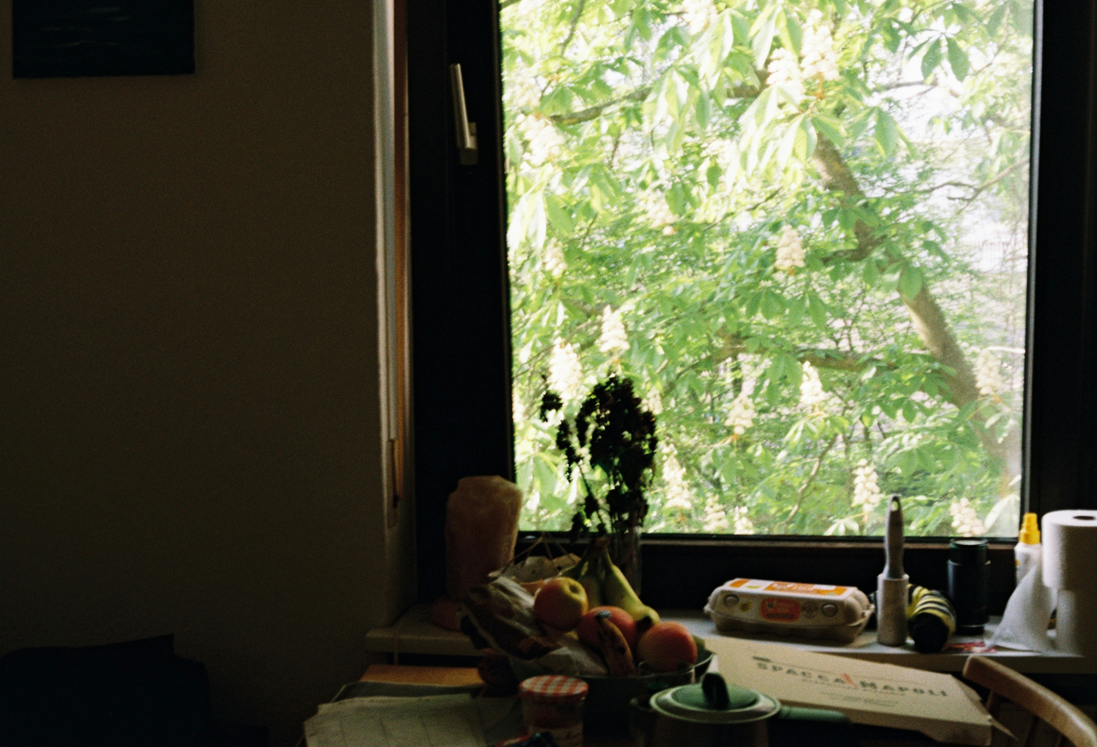 Table with fruit and window view of trees
