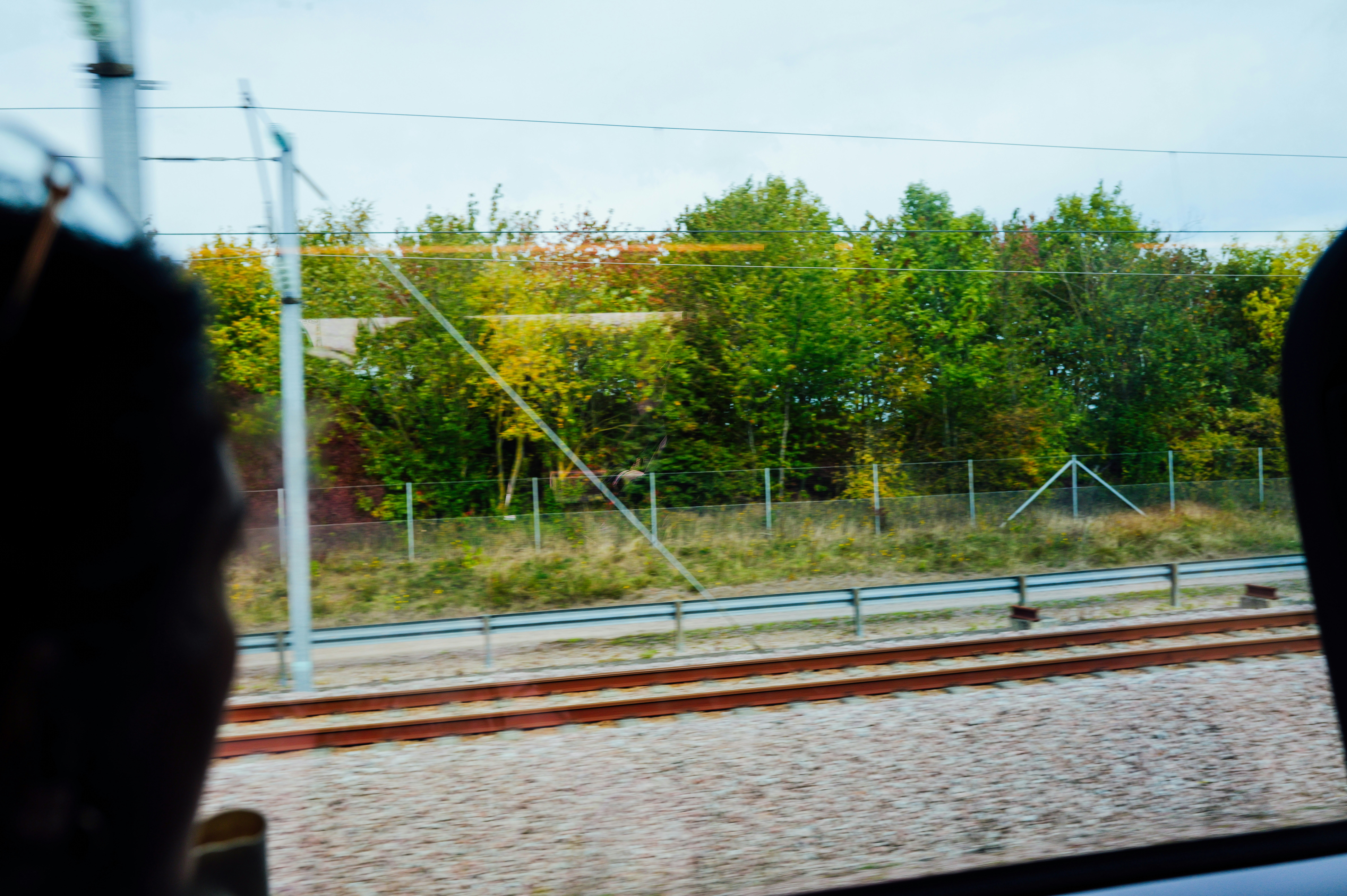 Train tracks and trees seen from a window.