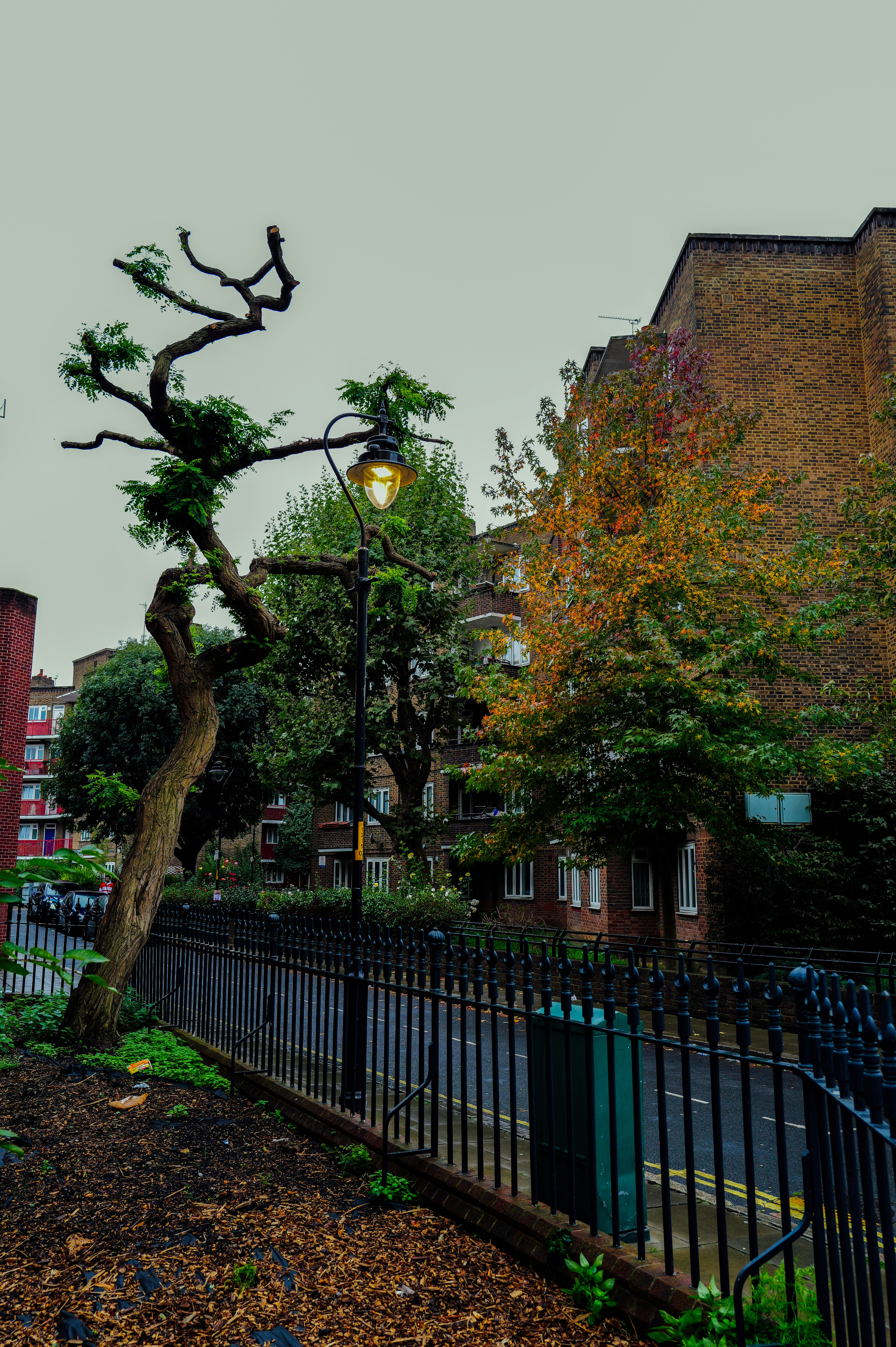 home fence transformation