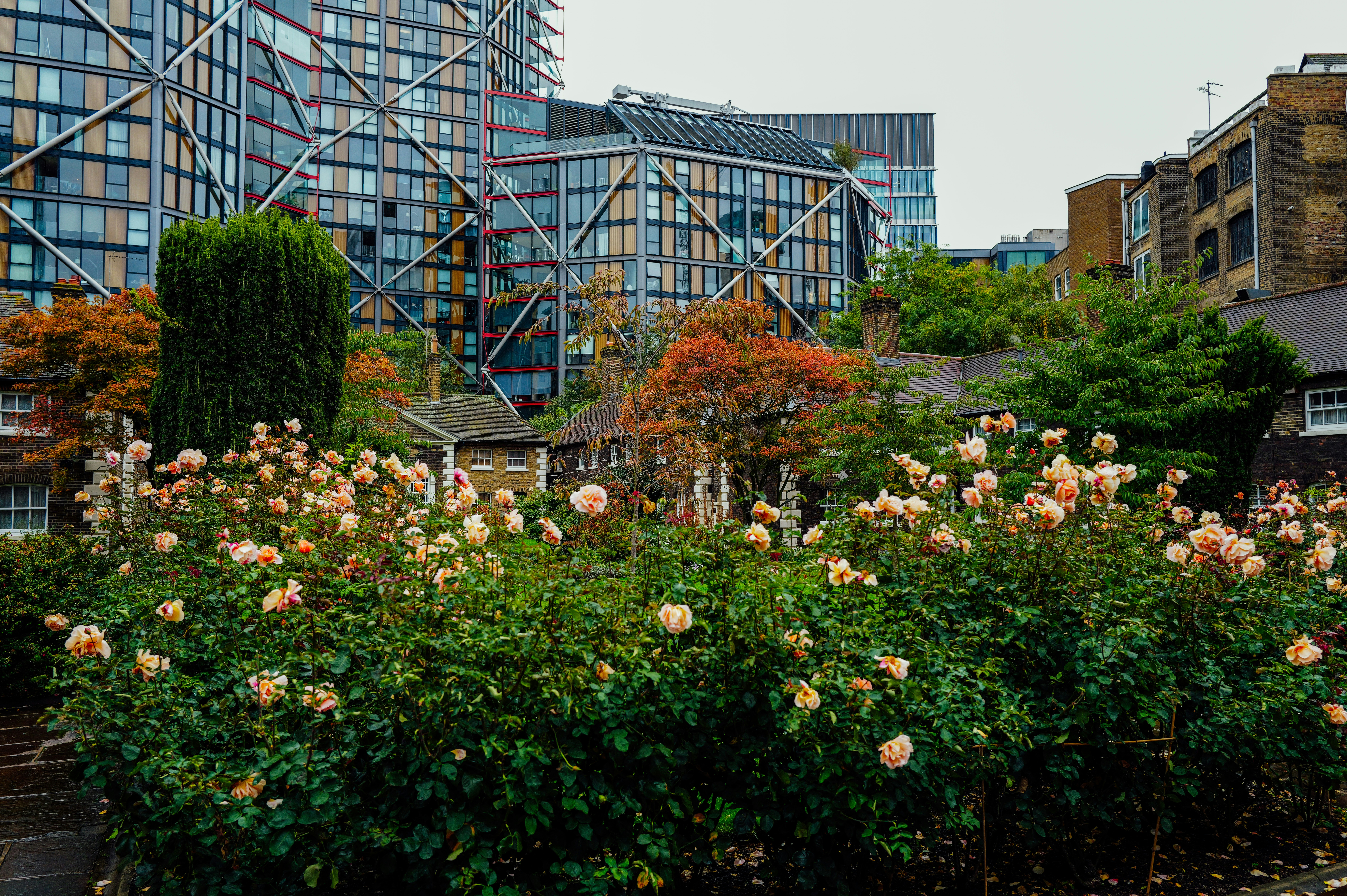 Alice Keith Park