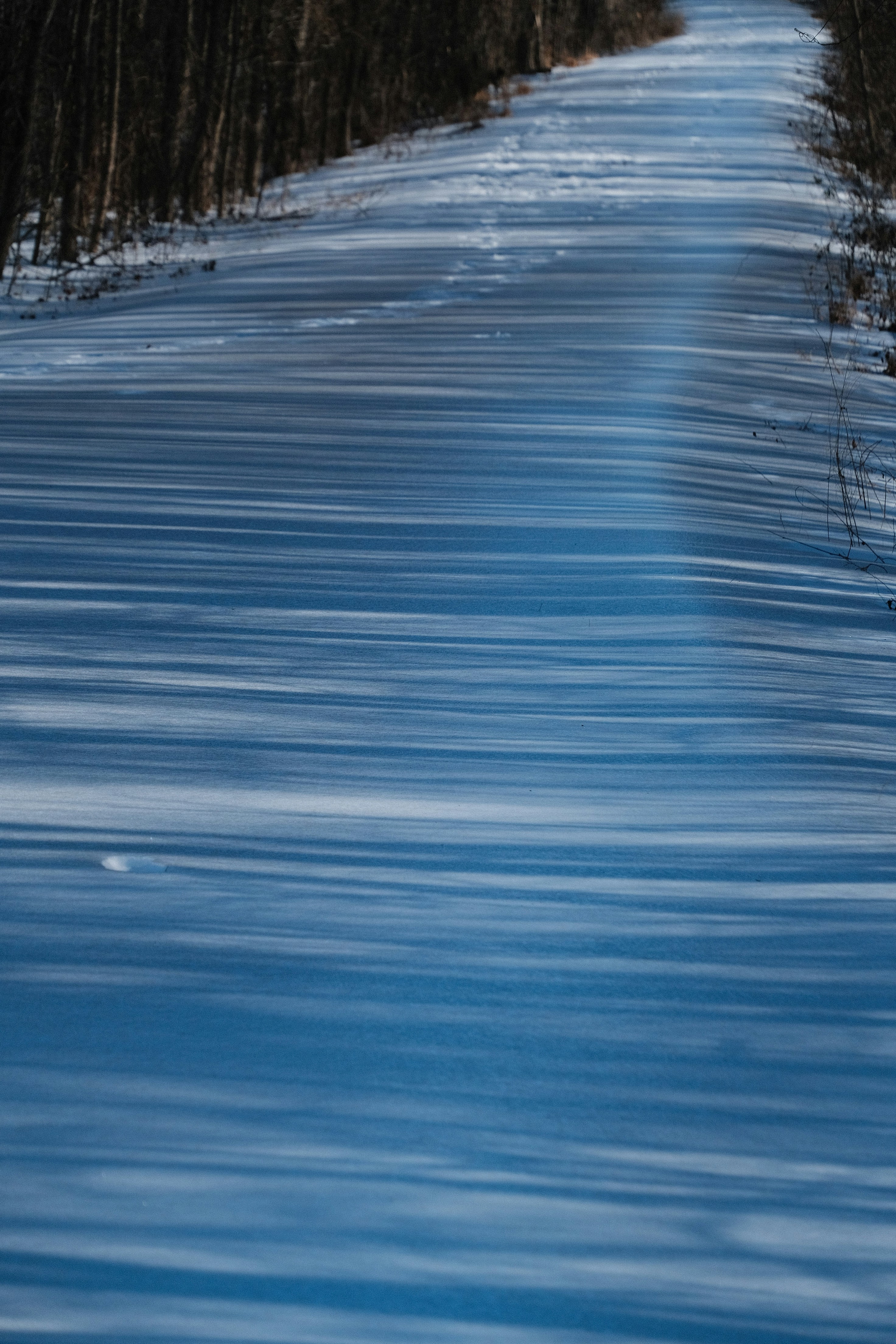 A snowy path with long shadows from trees