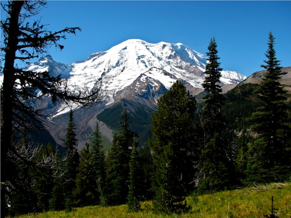 Mount Rainier, Washington, winter alpine landscape