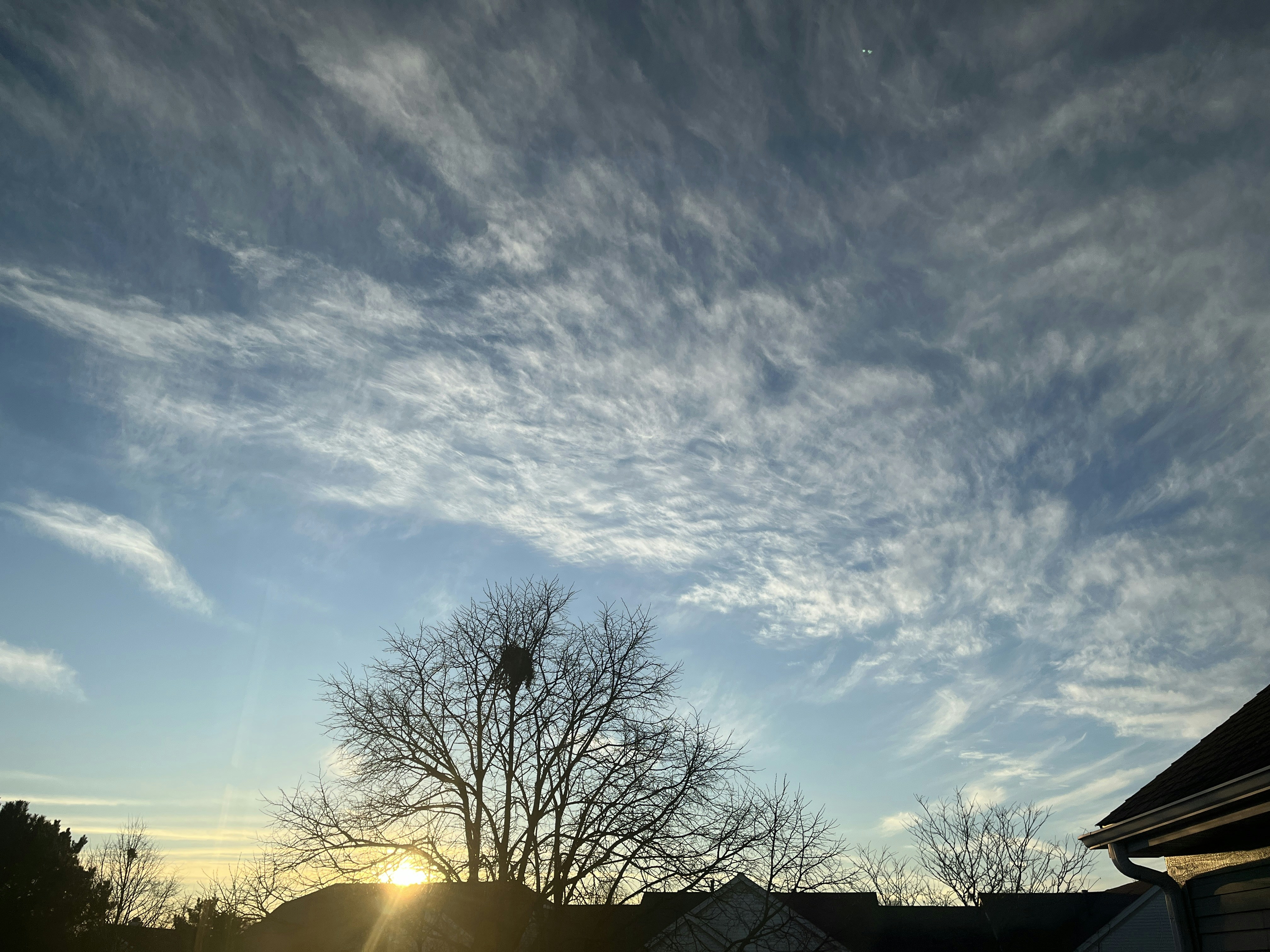 Wispy clouds fill the sky above bare trees.