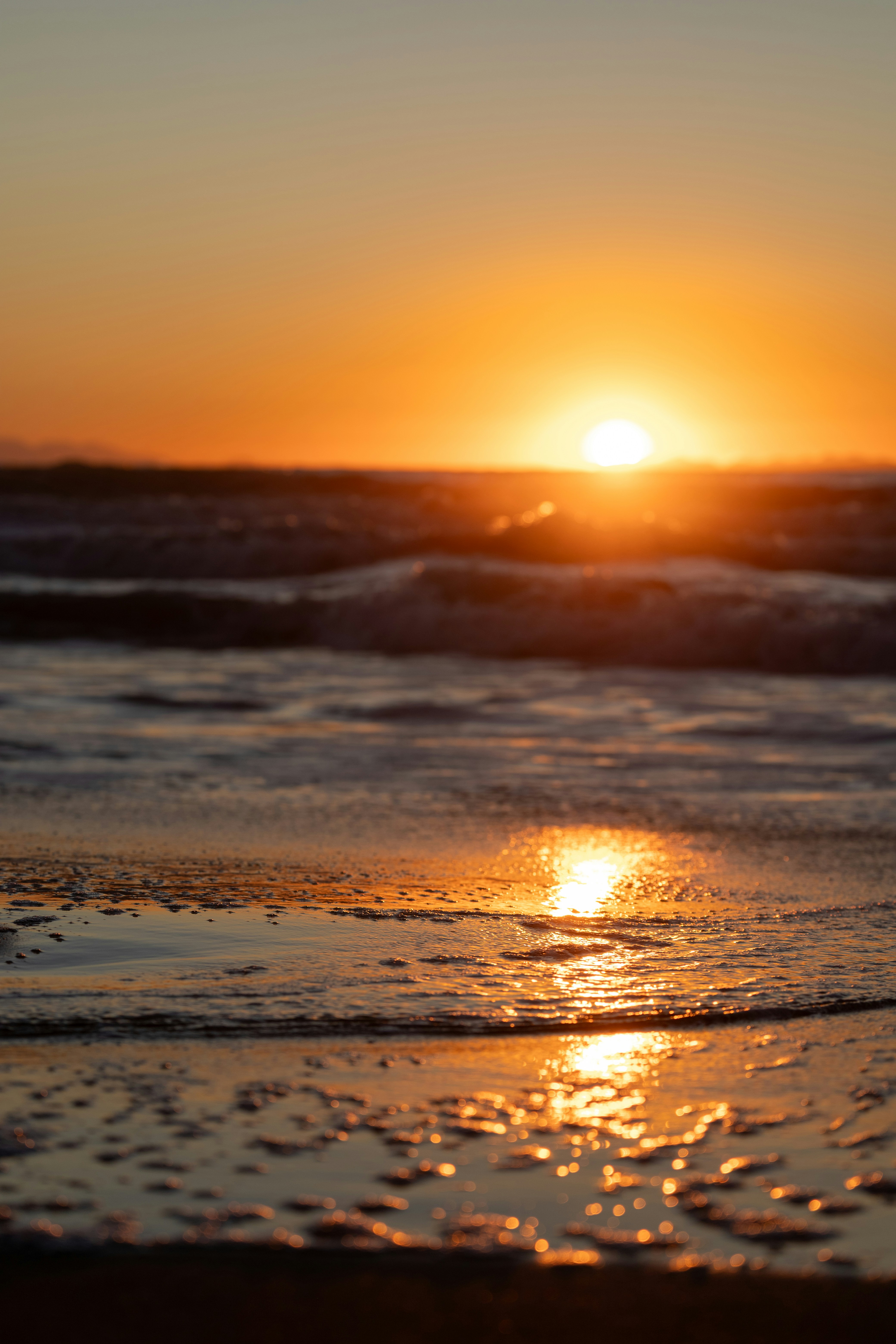 Photo by janis_photography