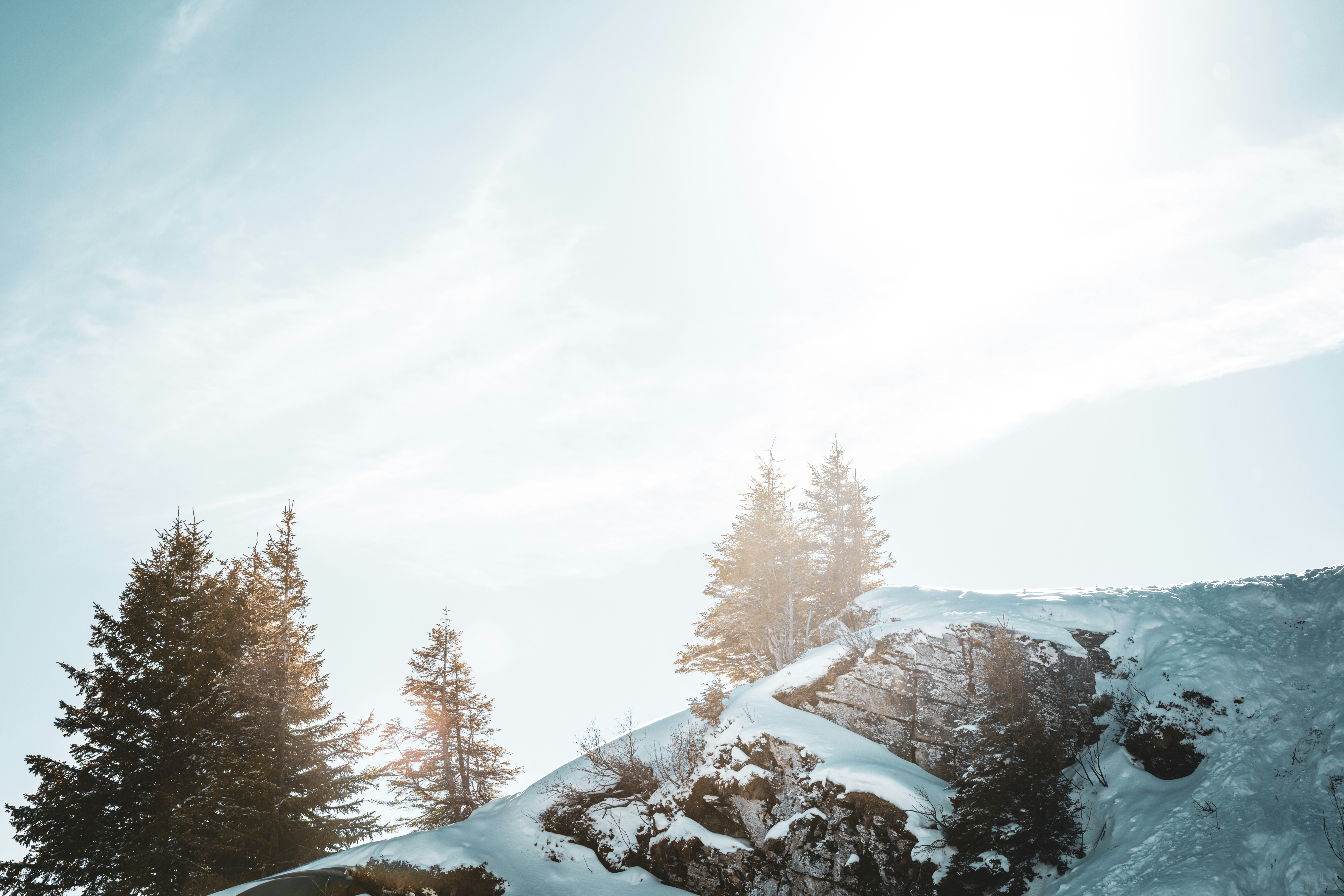 Photo by janis_photography