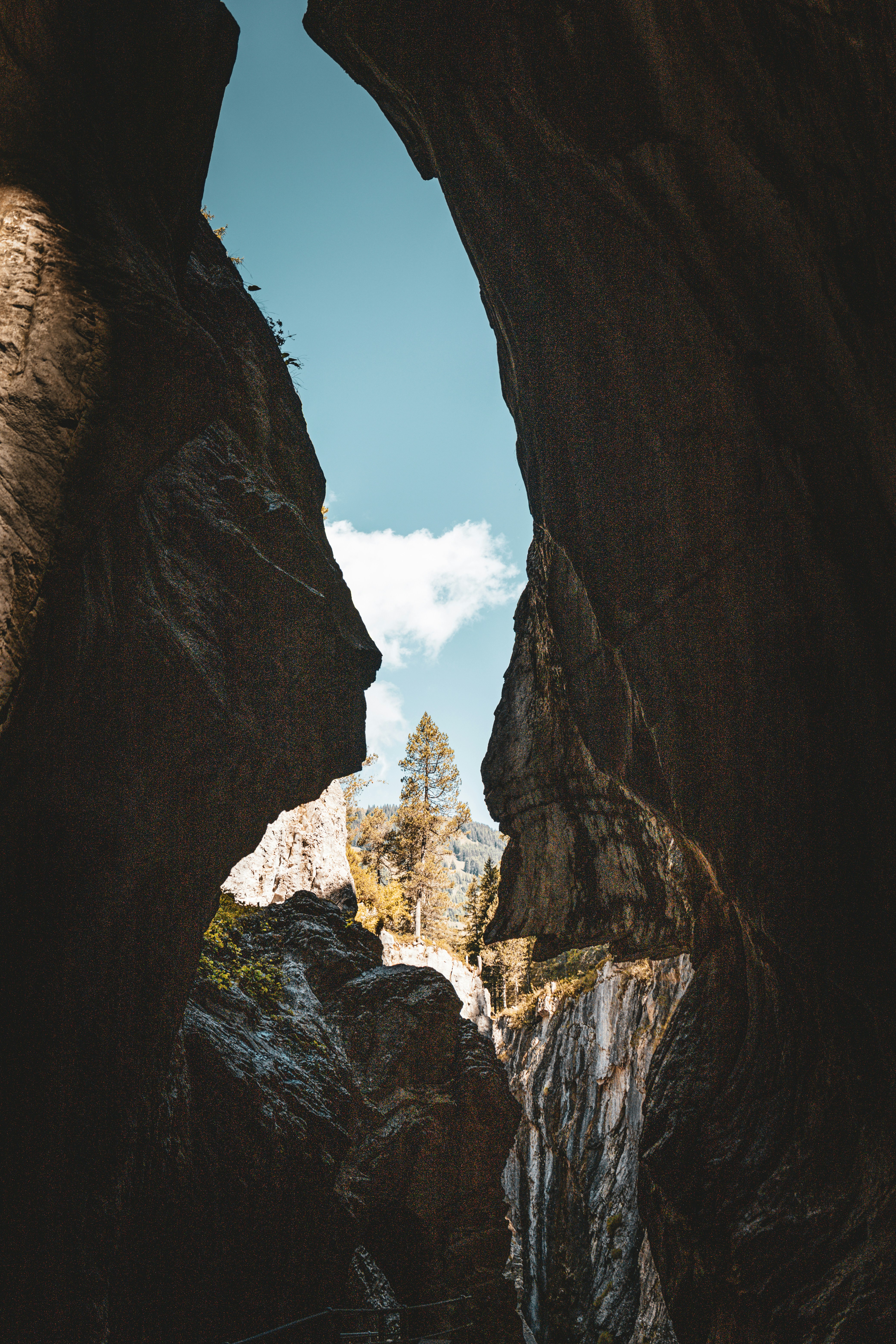 Photo by janis_photography