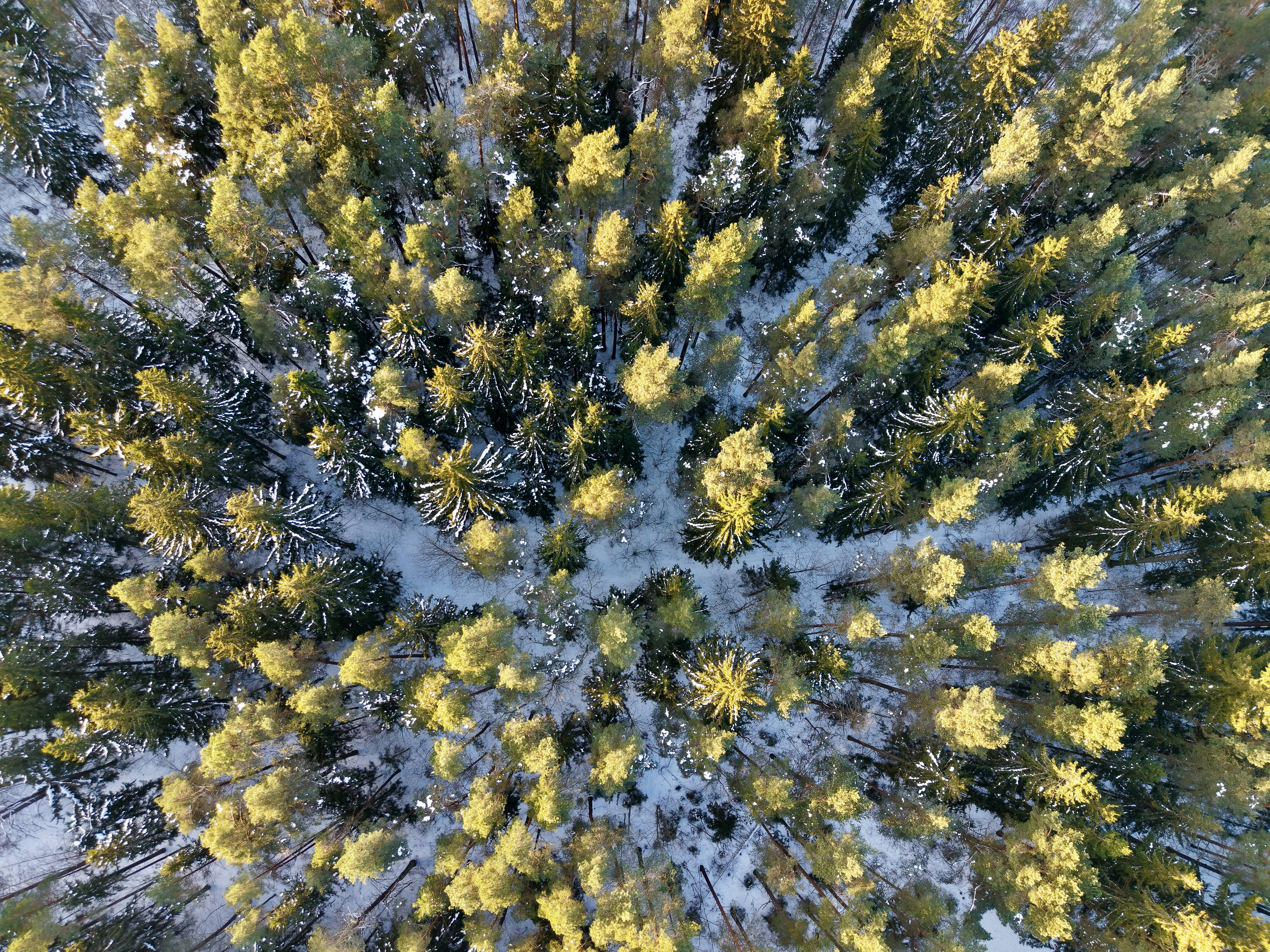 Photo by sandiskovalyovs