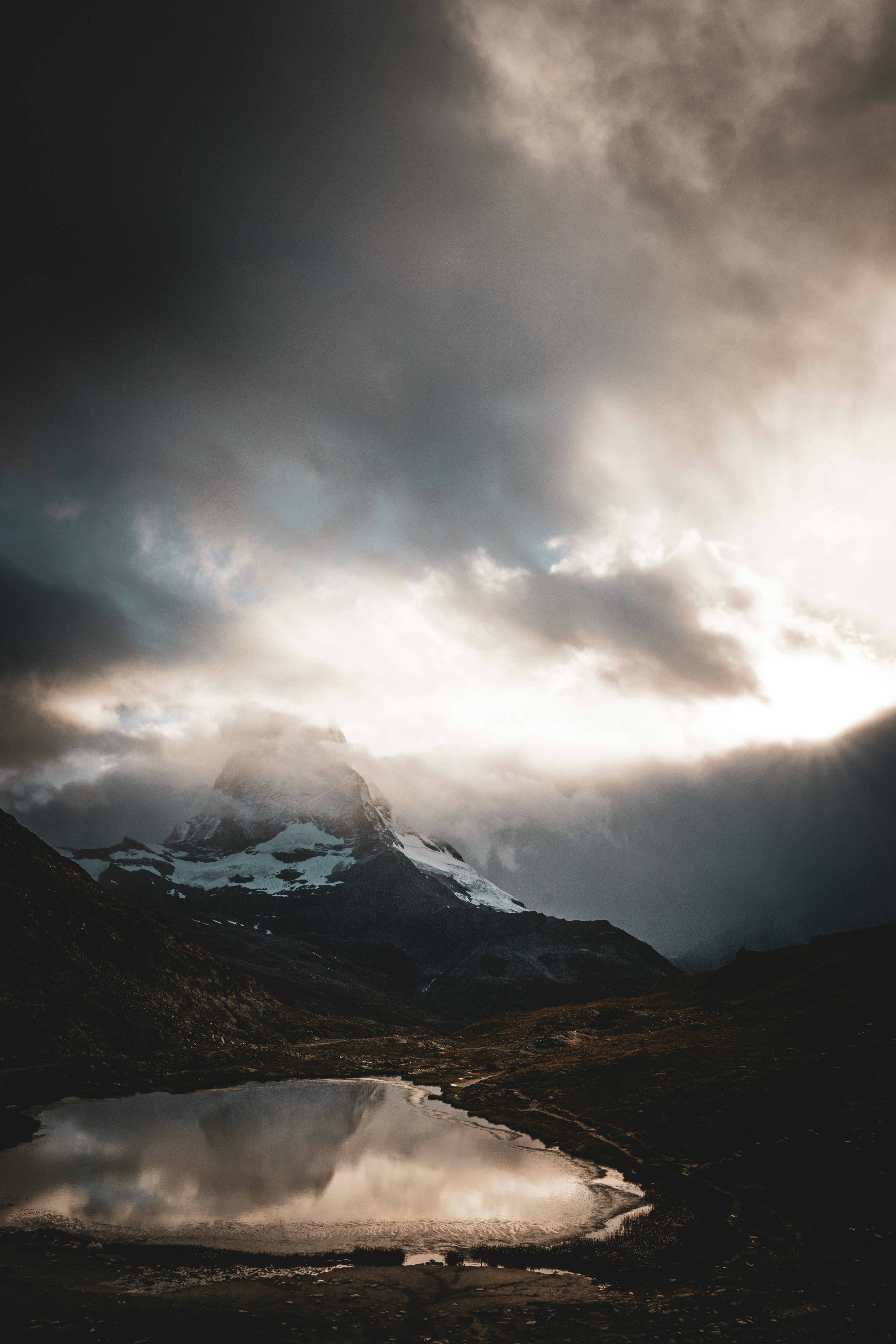 Photo by janis_photography