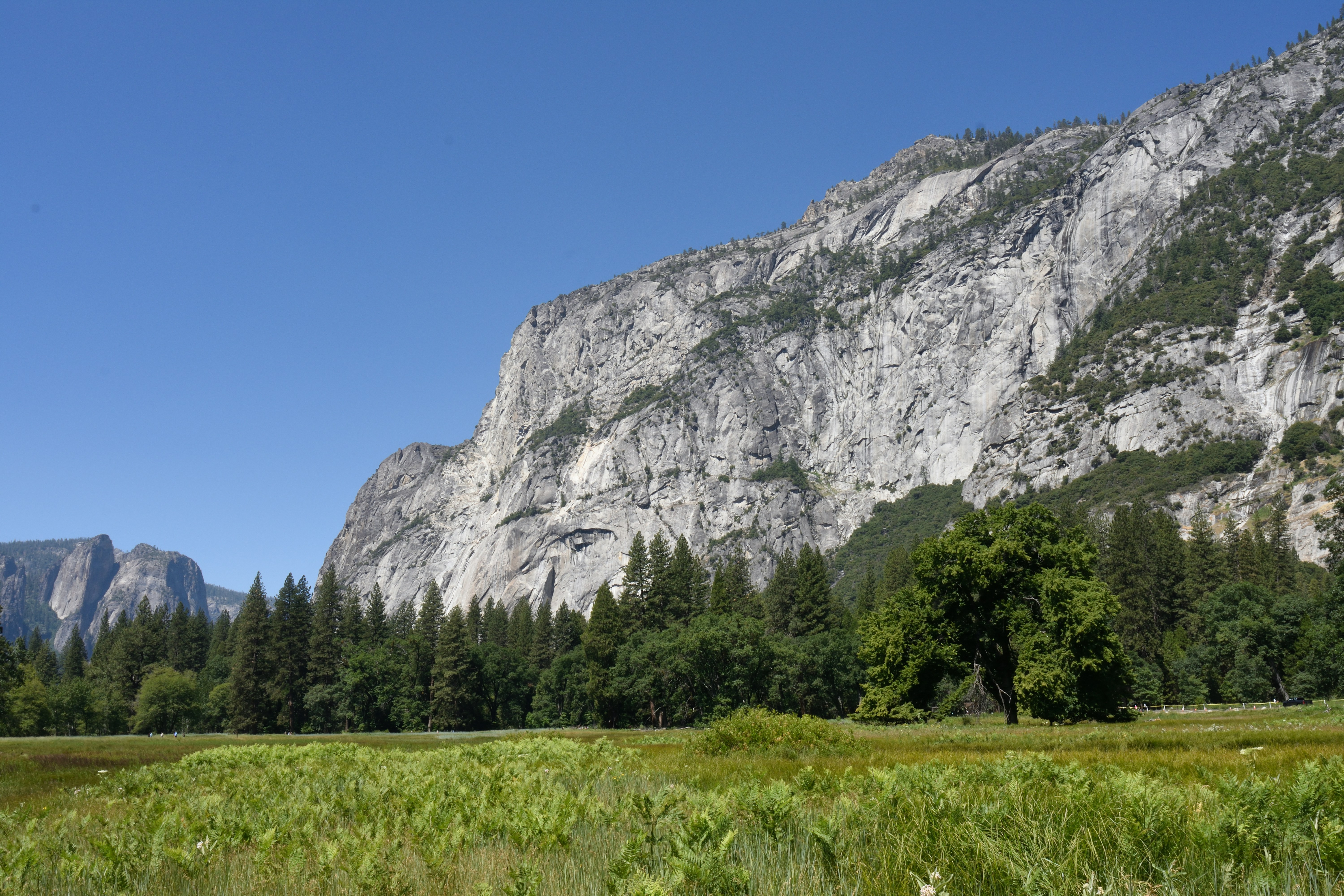 Vast granite cliffs tower over a green valley and forest.