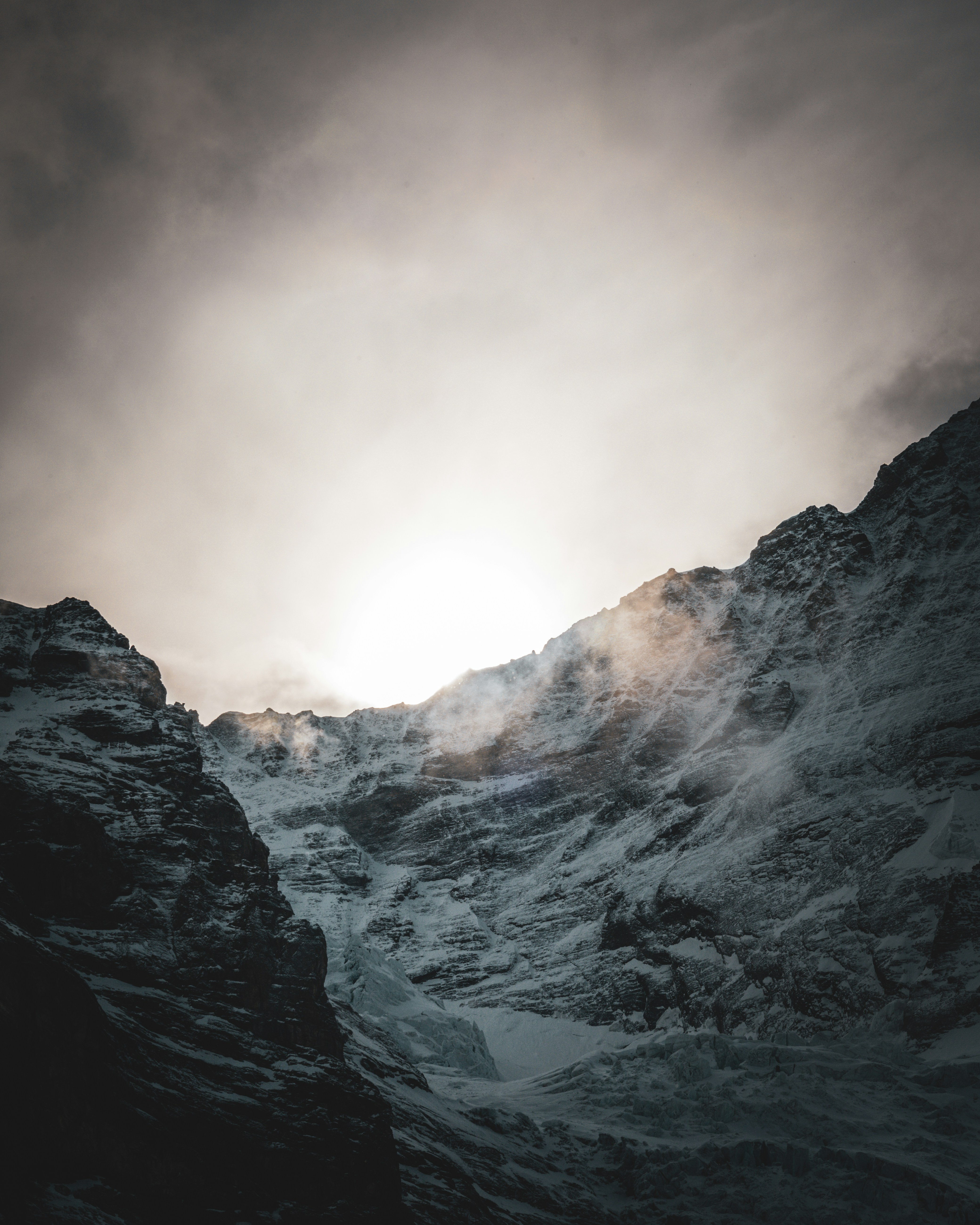 Photo by janis_photography