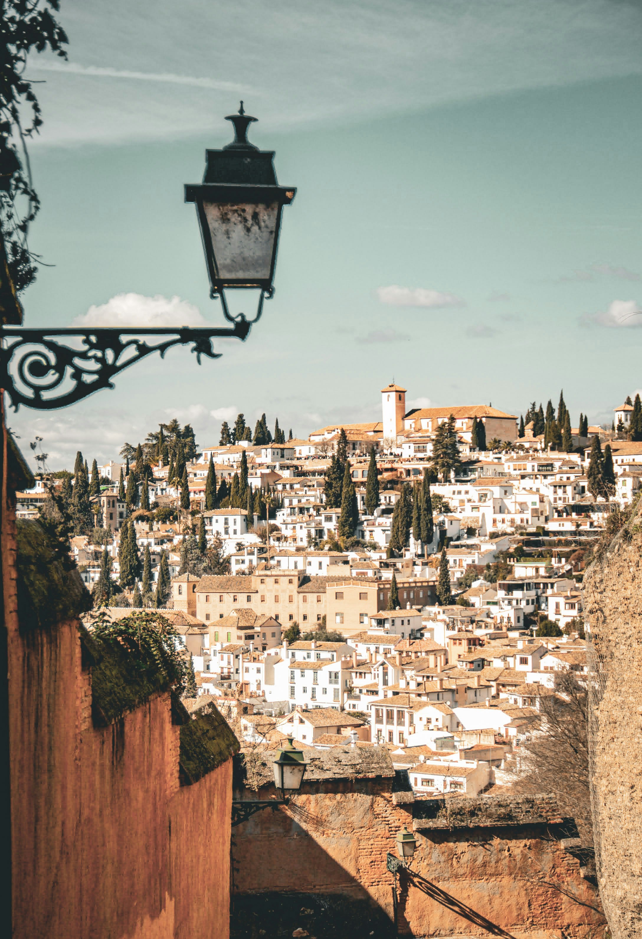 Hillside city with white buildings and cypress trees.