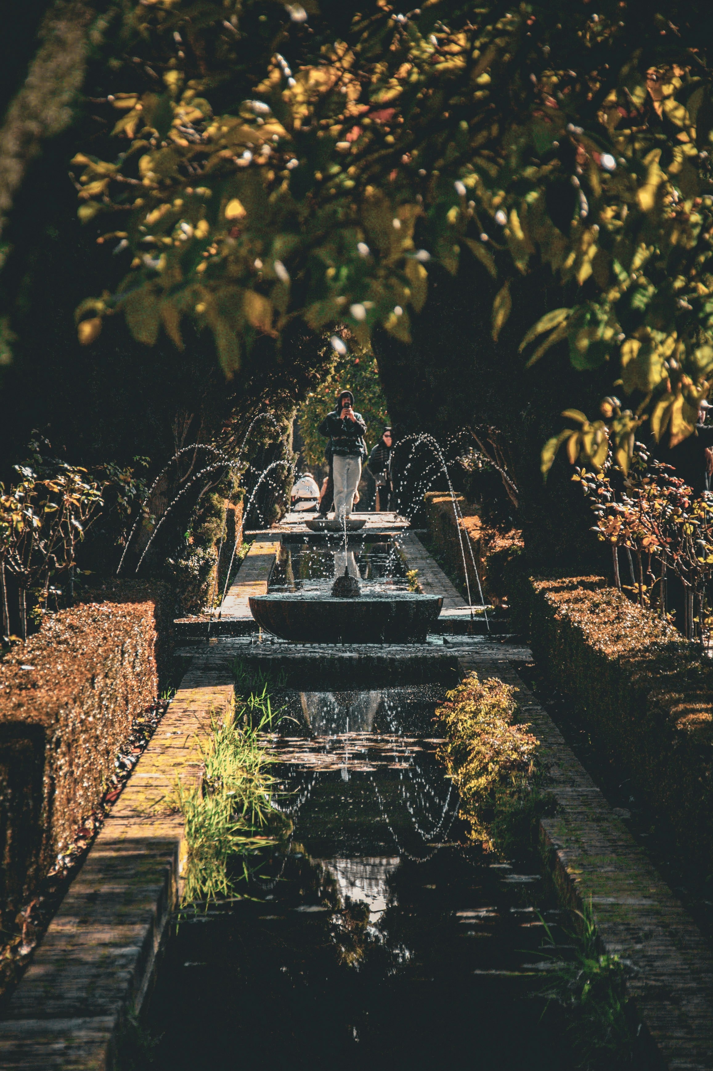 A formal garden with a central fountain and reflective pool.