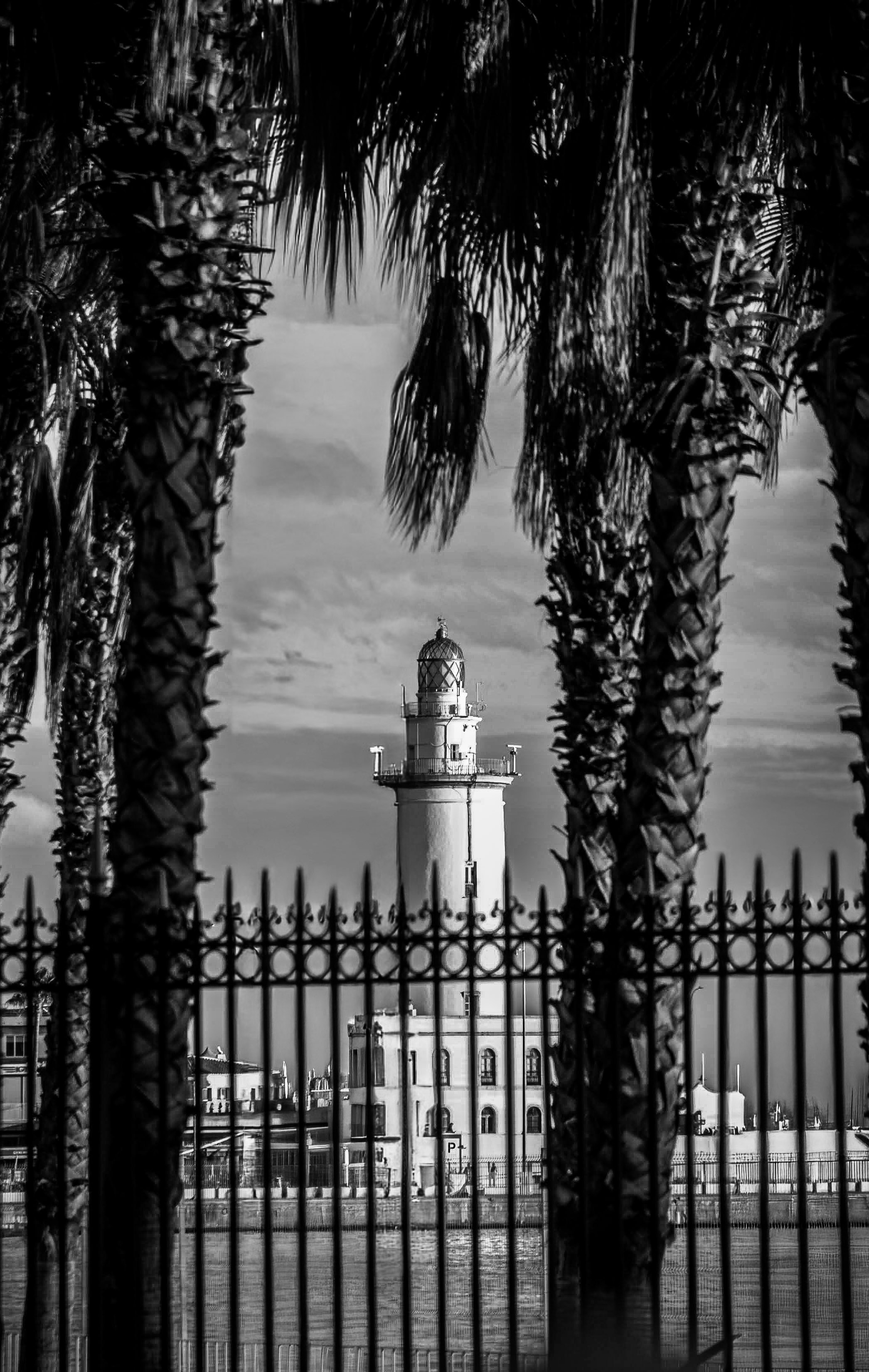 Phare vu à travers les palmiers et la clôture