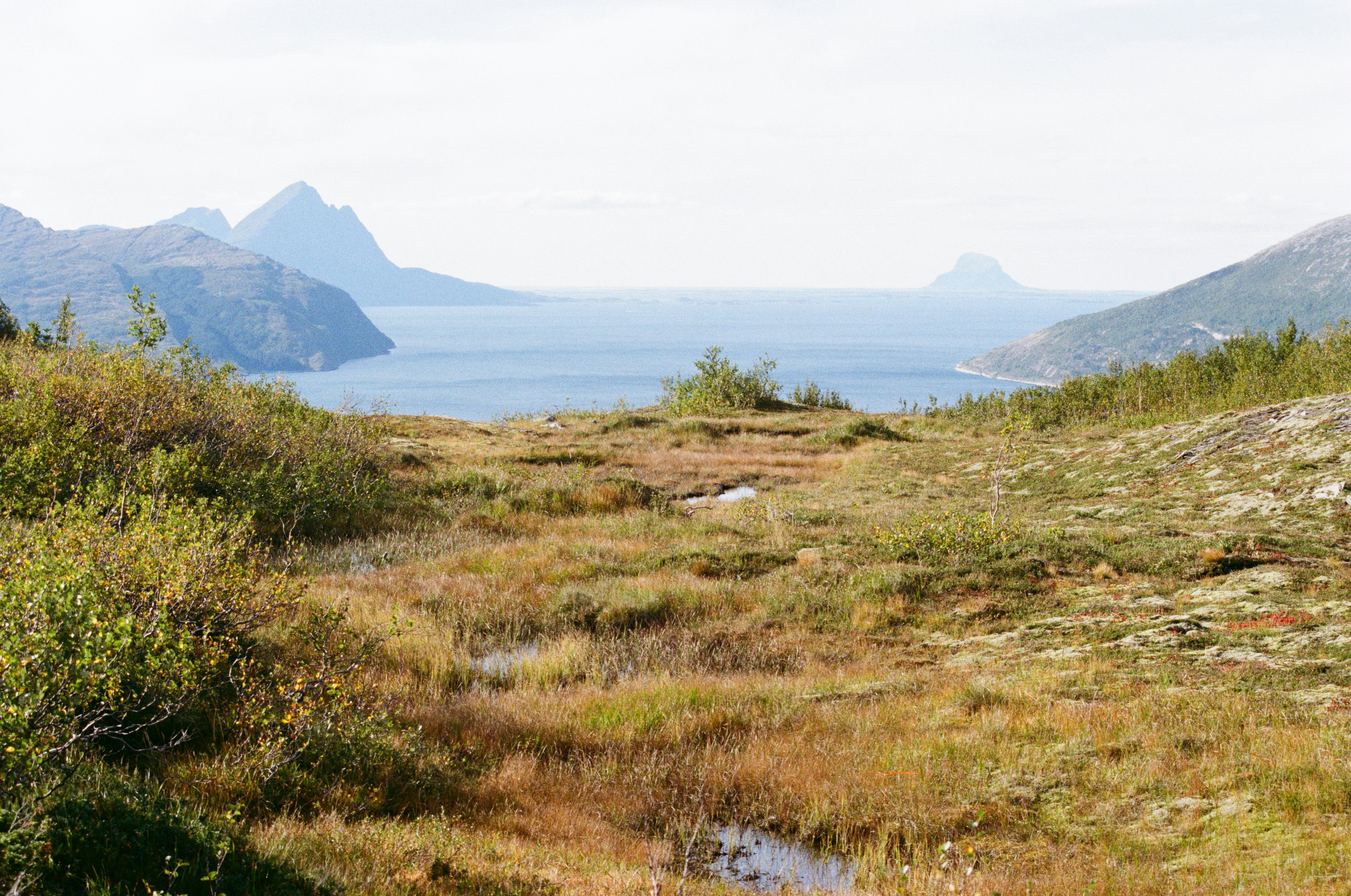 Photo by bernhardbar