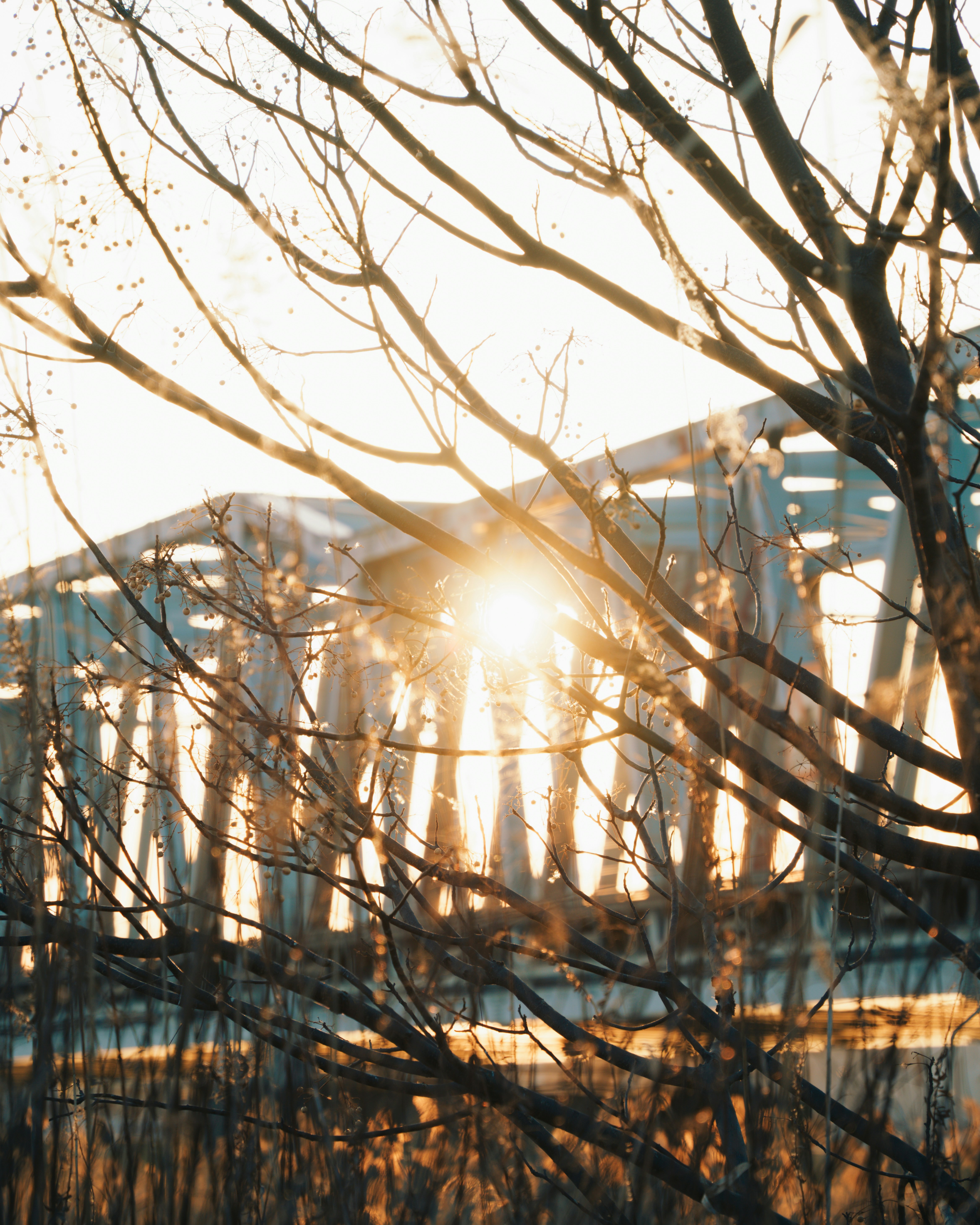 Photo by step_of_ayumi
