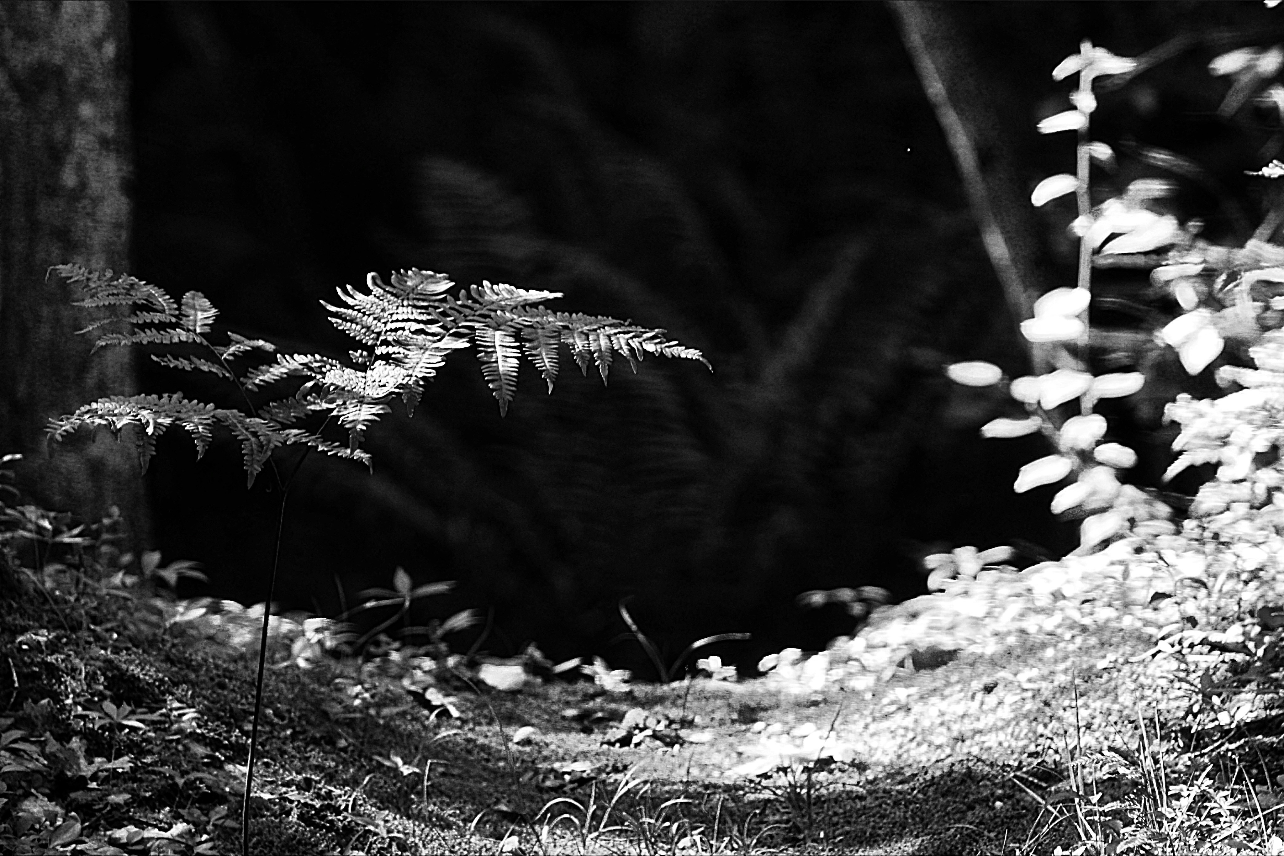 Photo by lisa_duqlaw